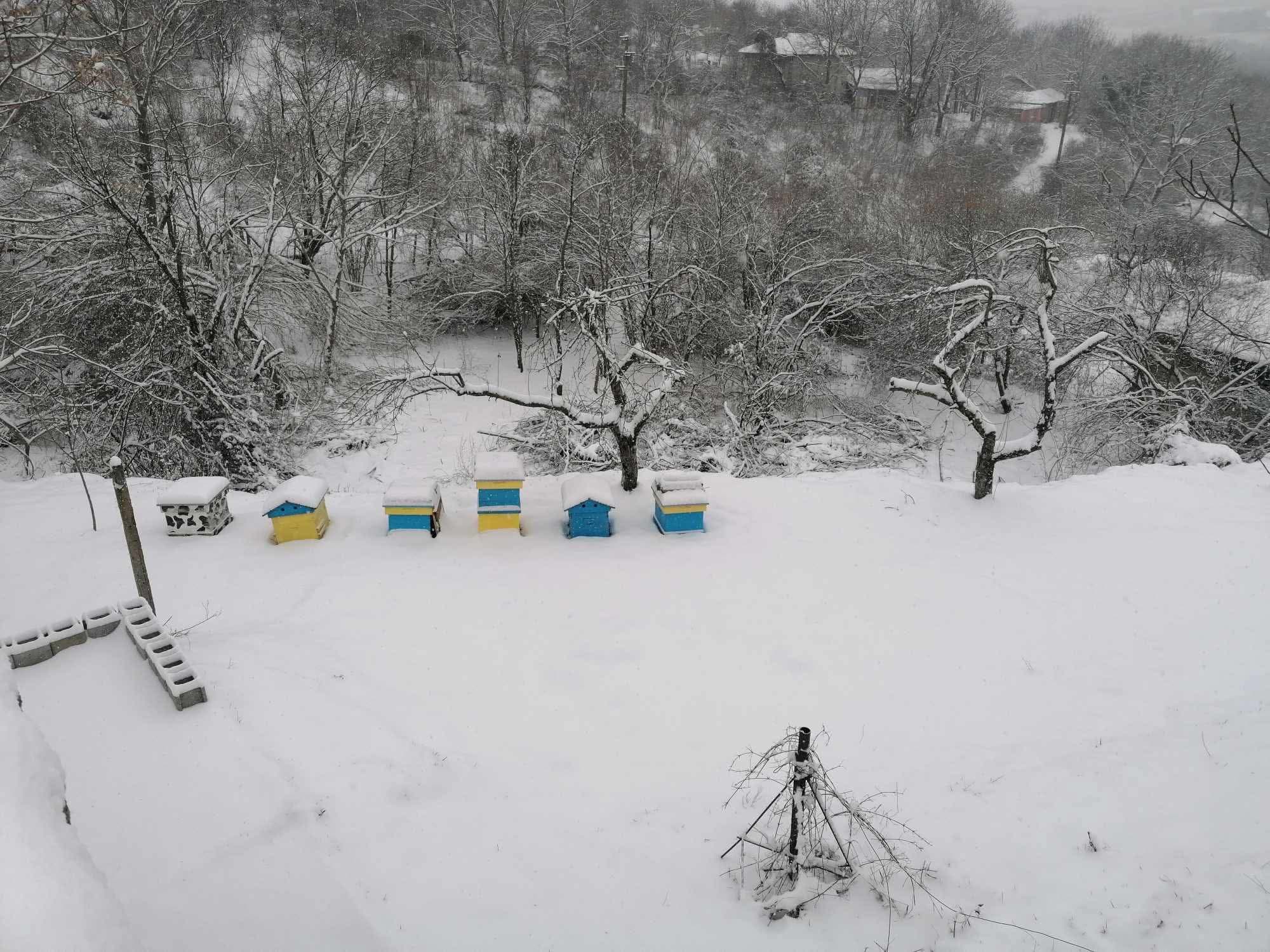 Rila Grande - Katselovo - thumbnail 24