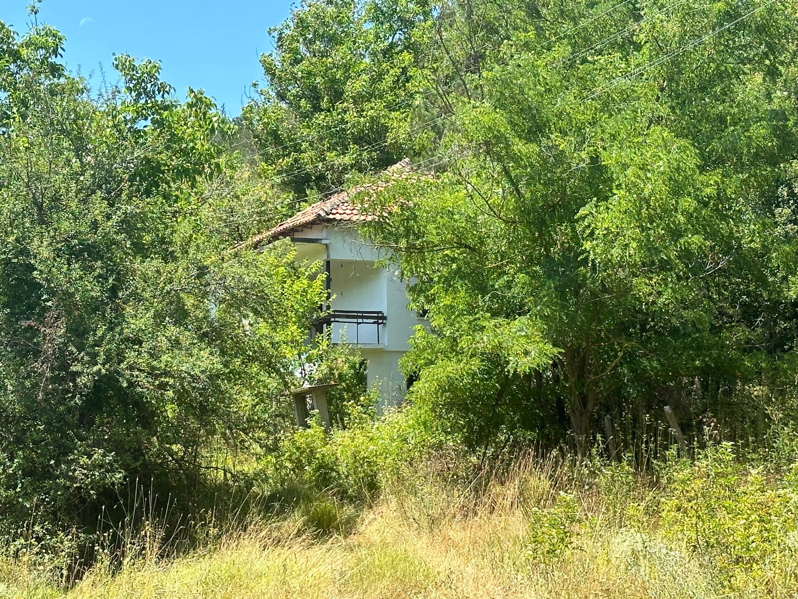 Forest View House - Marchino - thumbnail 20