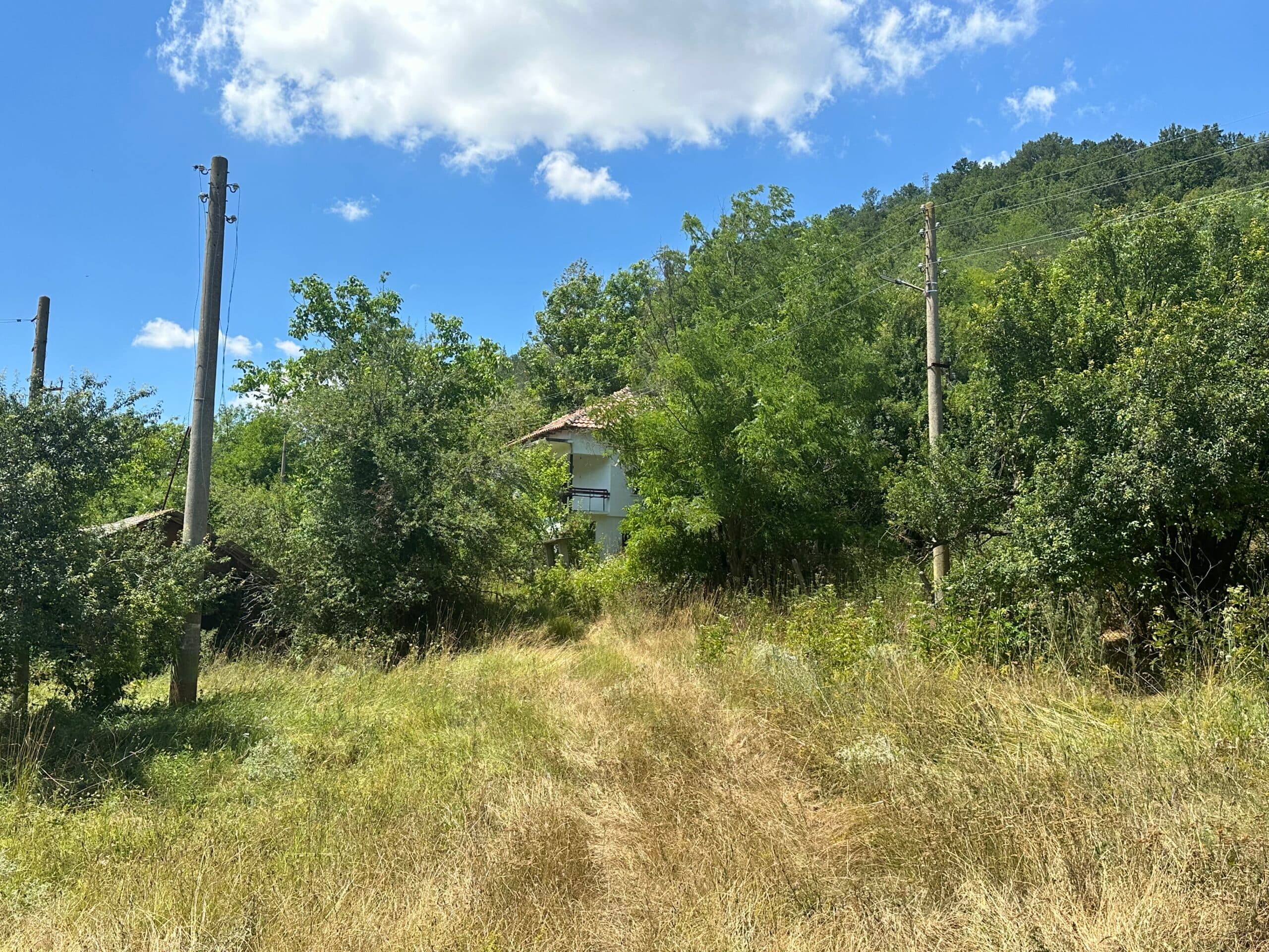 Forest View House - Marchino - thumbnail 21