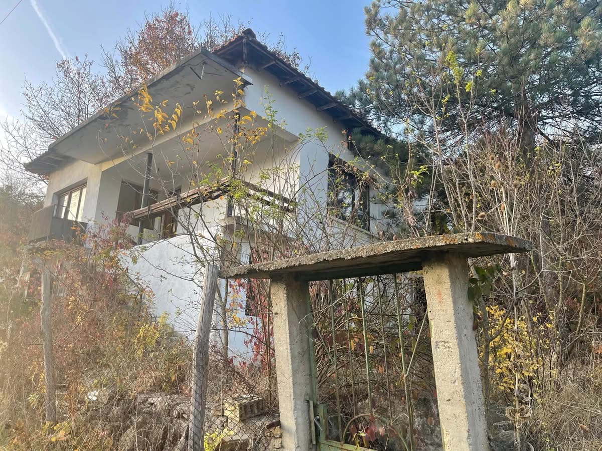 Forest View House - Marchino - thumbnail 2