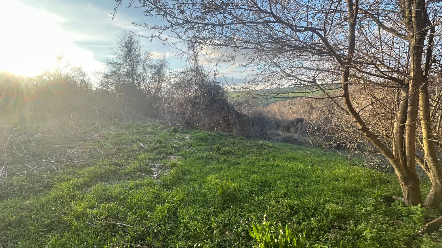 Canyon House - thumbnail 9