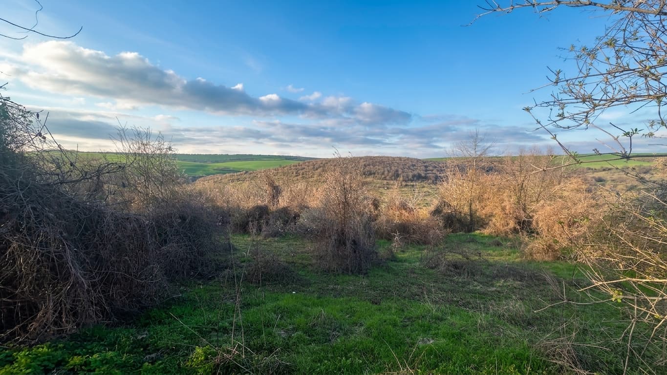 Canyon House - thumbnail 12