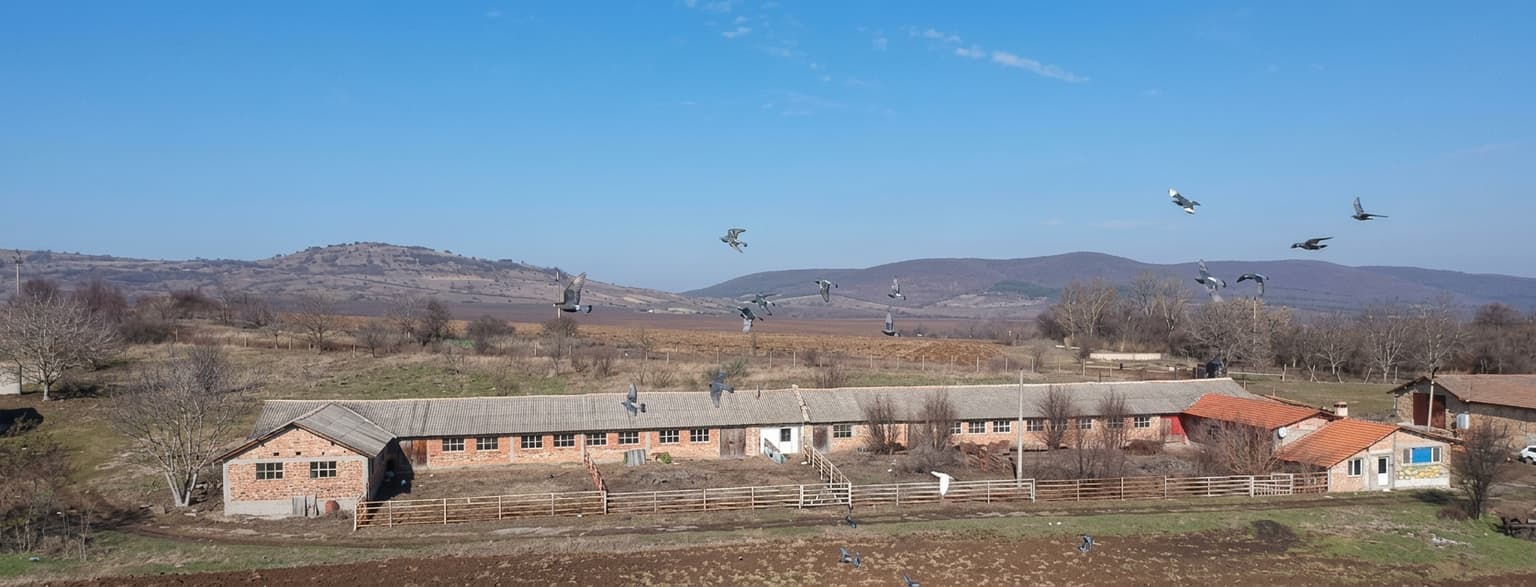 Yordan Farm - Palamartsa