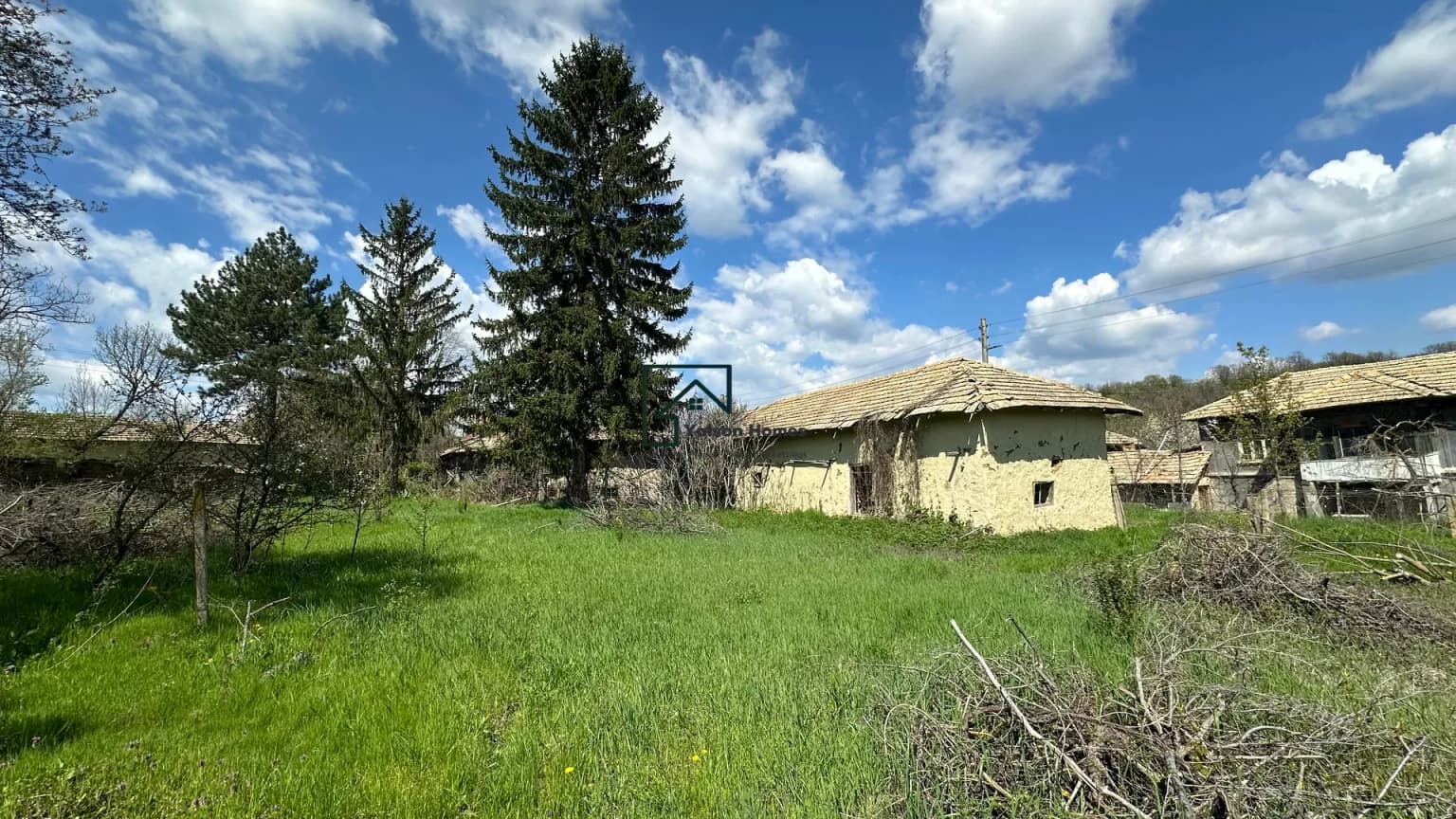 The Little Heart of Zvezda - thumbnail 16