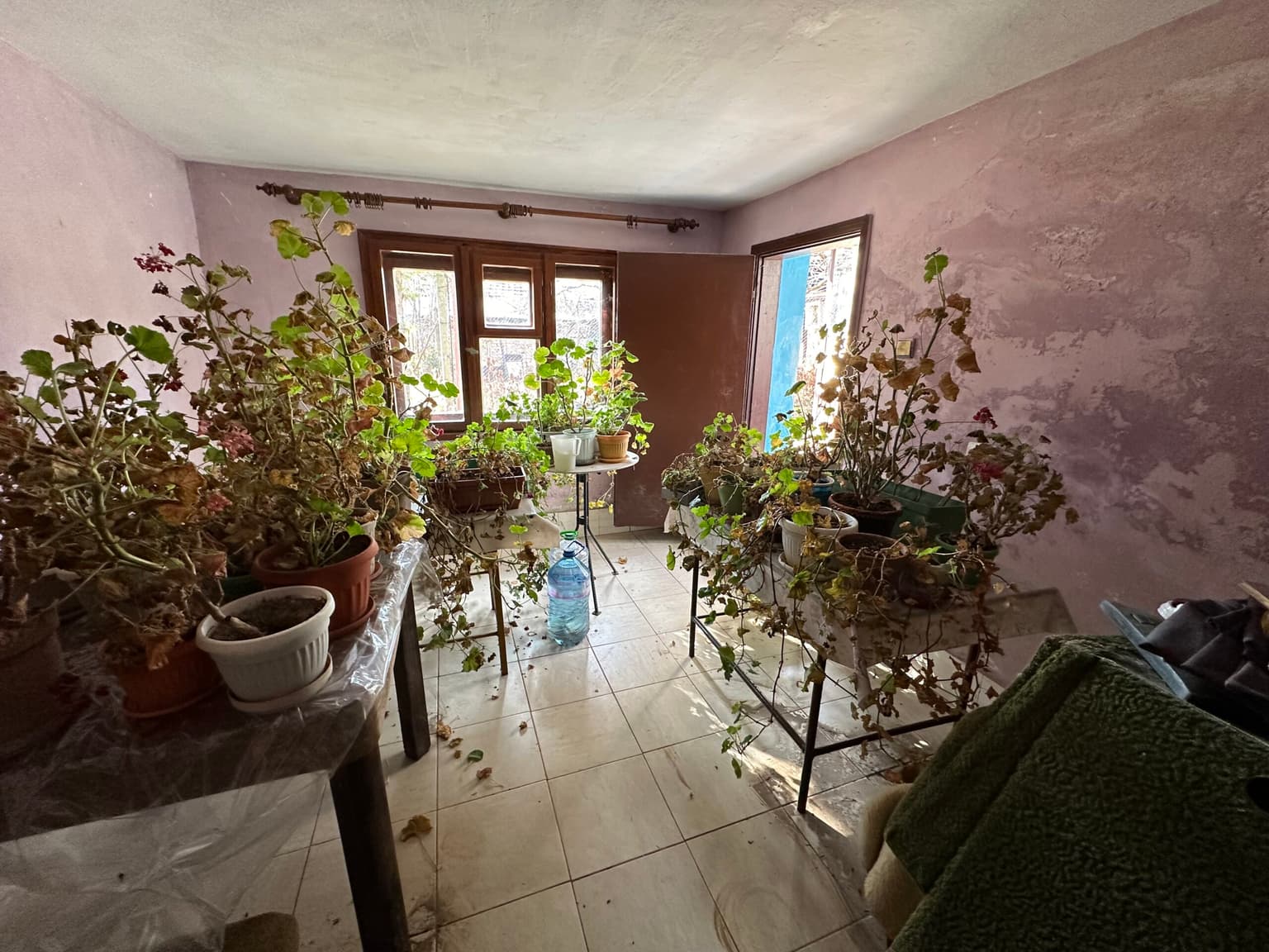 Toadstool House - Lom Cherkovna - thumbnail 9