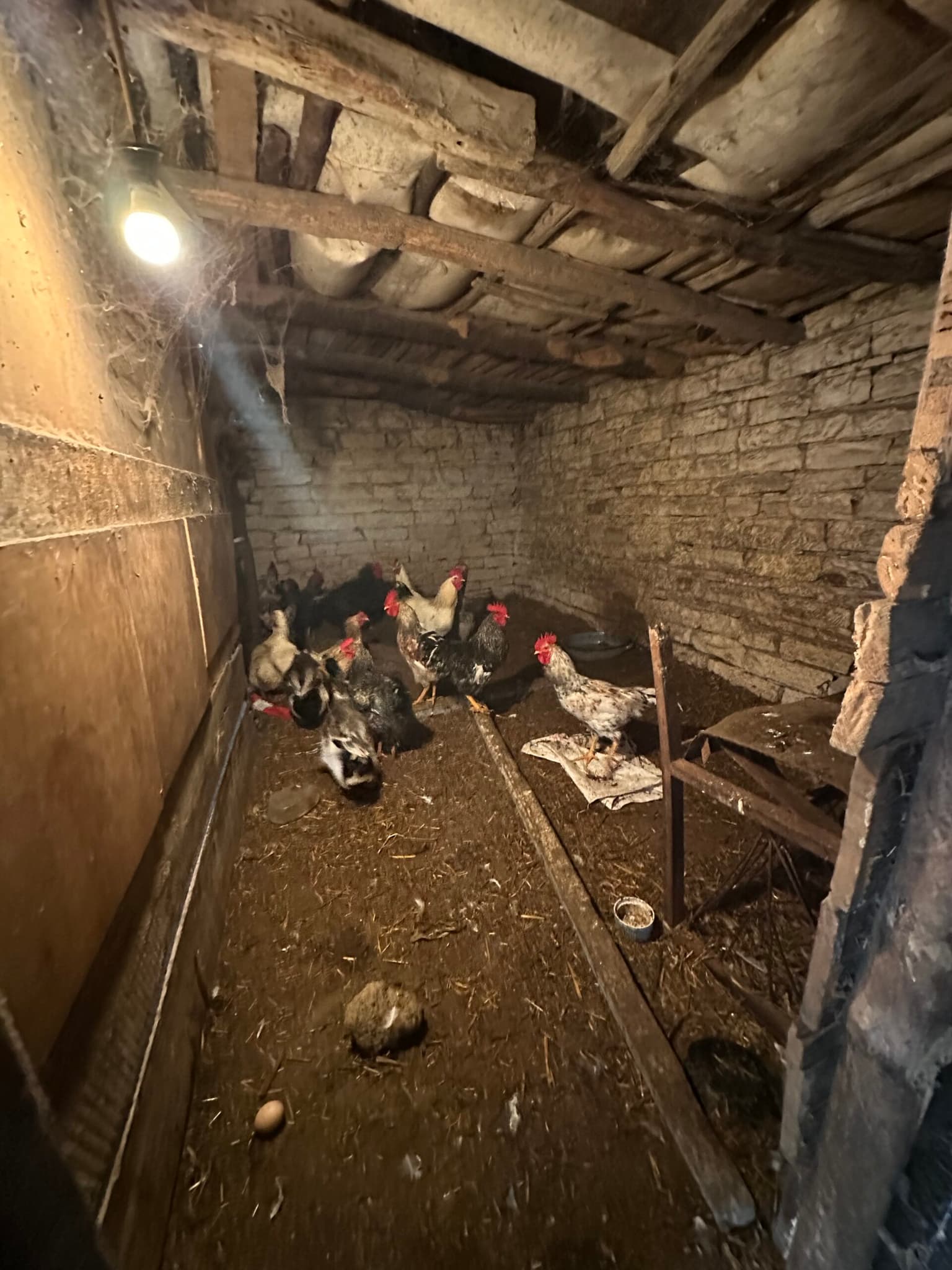 Toadstool House - Lom Cherkovna - thumbnail 13