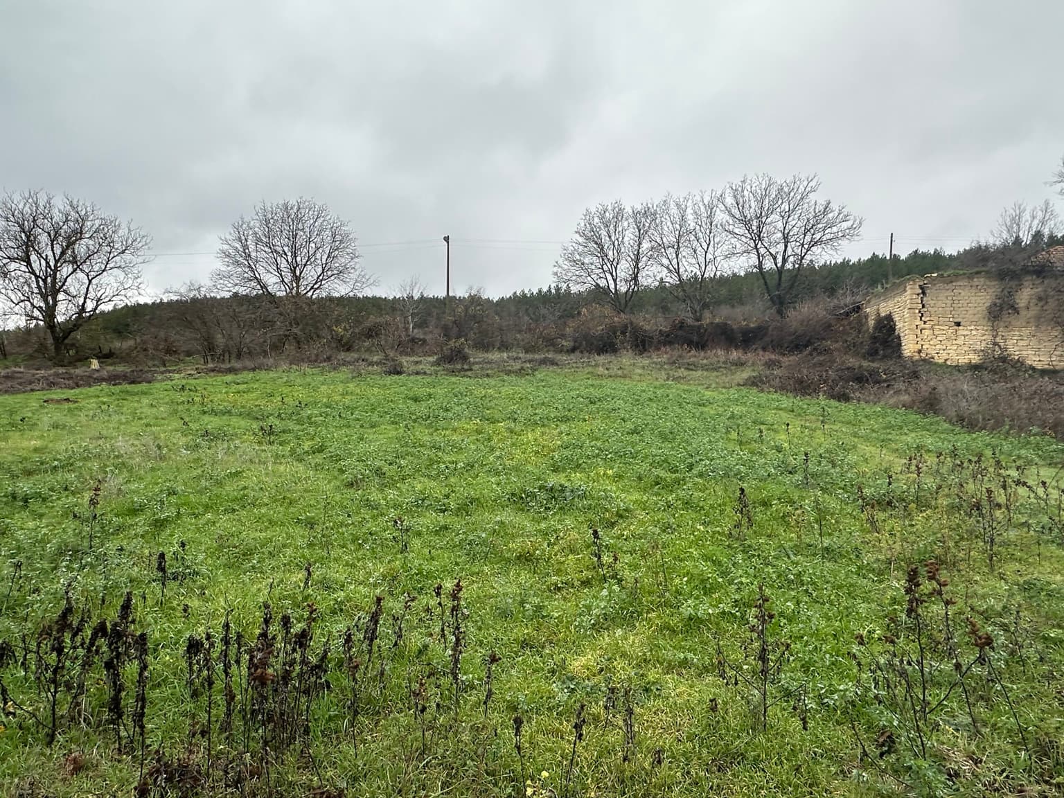 Toadstool House - Lom Cherkovna - thumbnail 14