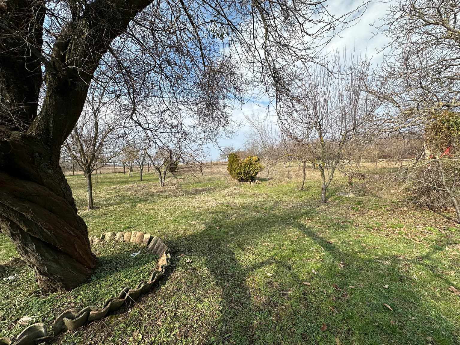 Toadstool House - Lom Cherkovna - thumbnail 17