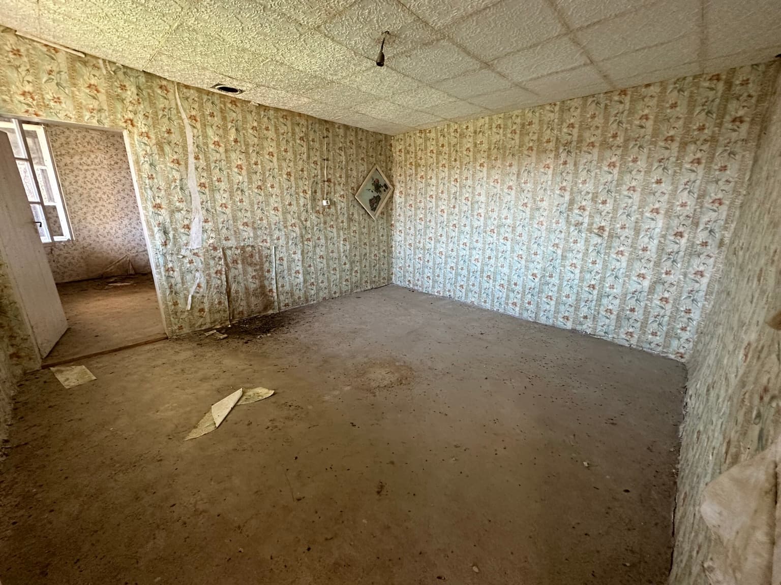 Brabus House - Palamartsa - thumbnail 7