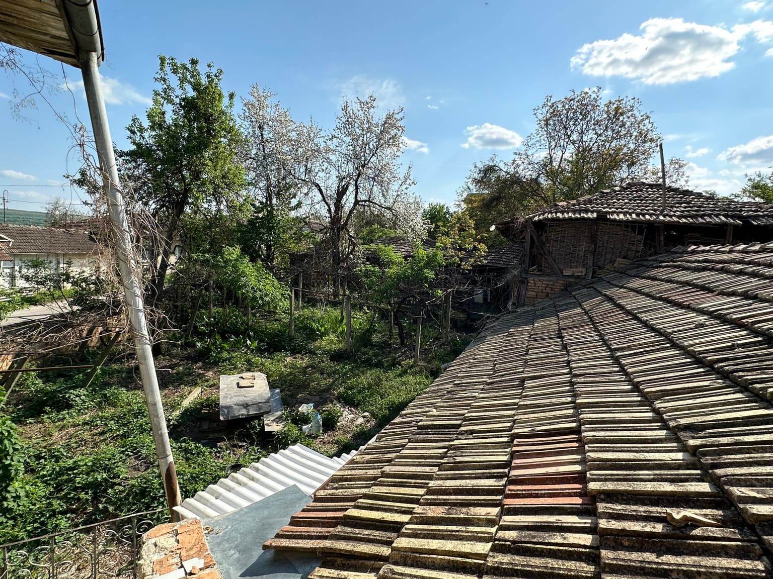 Florence House - Voditsa - thumbnail 7