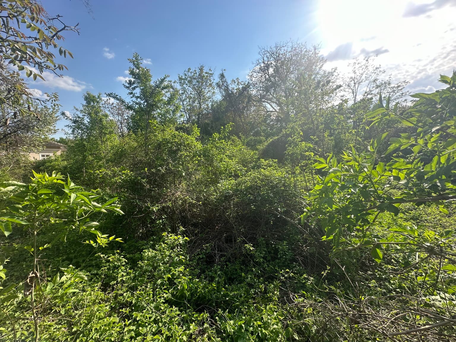 Florence House - Voditsa - thumbnail 3