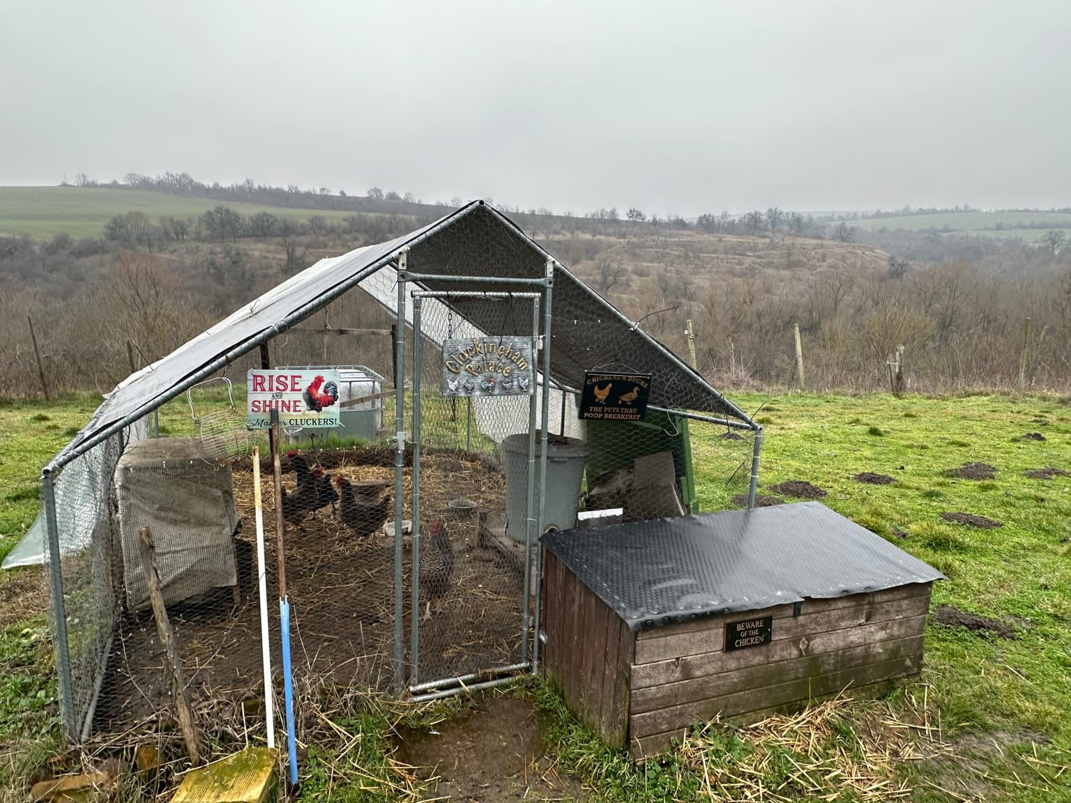 Hill View Chiflik - Slavyanovo - thumbnail 16