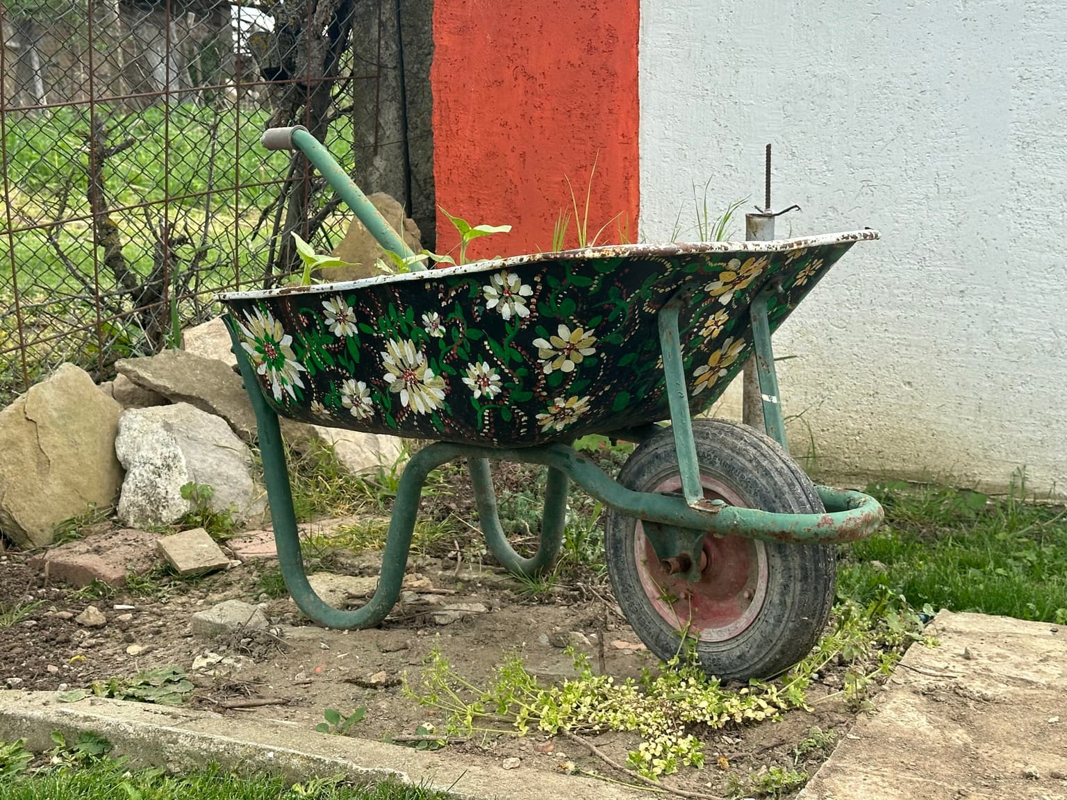 Honda Haven - Tsvetnitsa - thumbnail 8