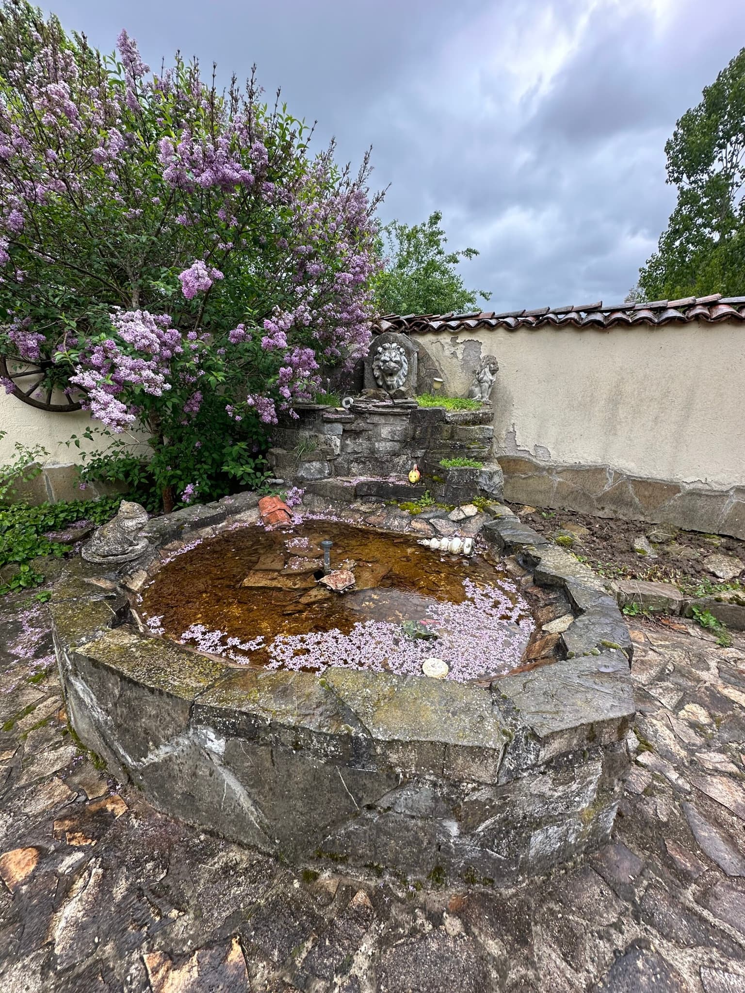 Van Trek House - Veselinovo - thumbnail 32