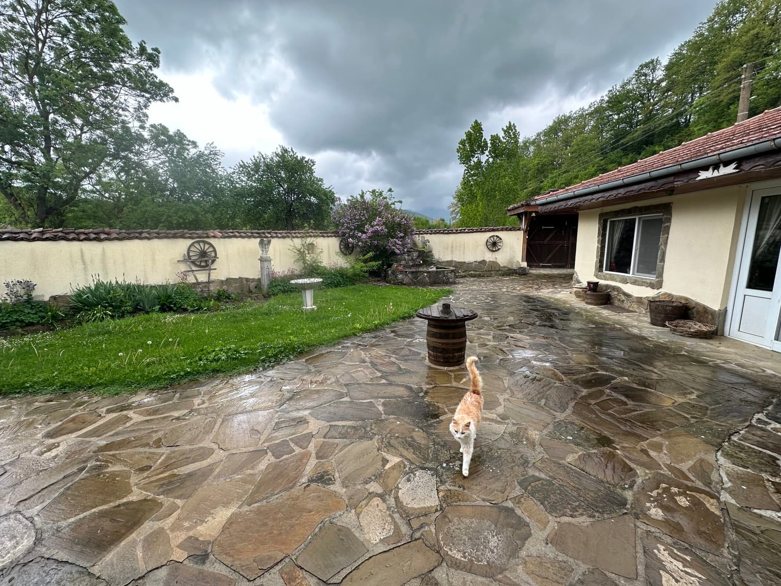 Van Trek House - Veselinovo - thumbnail 22