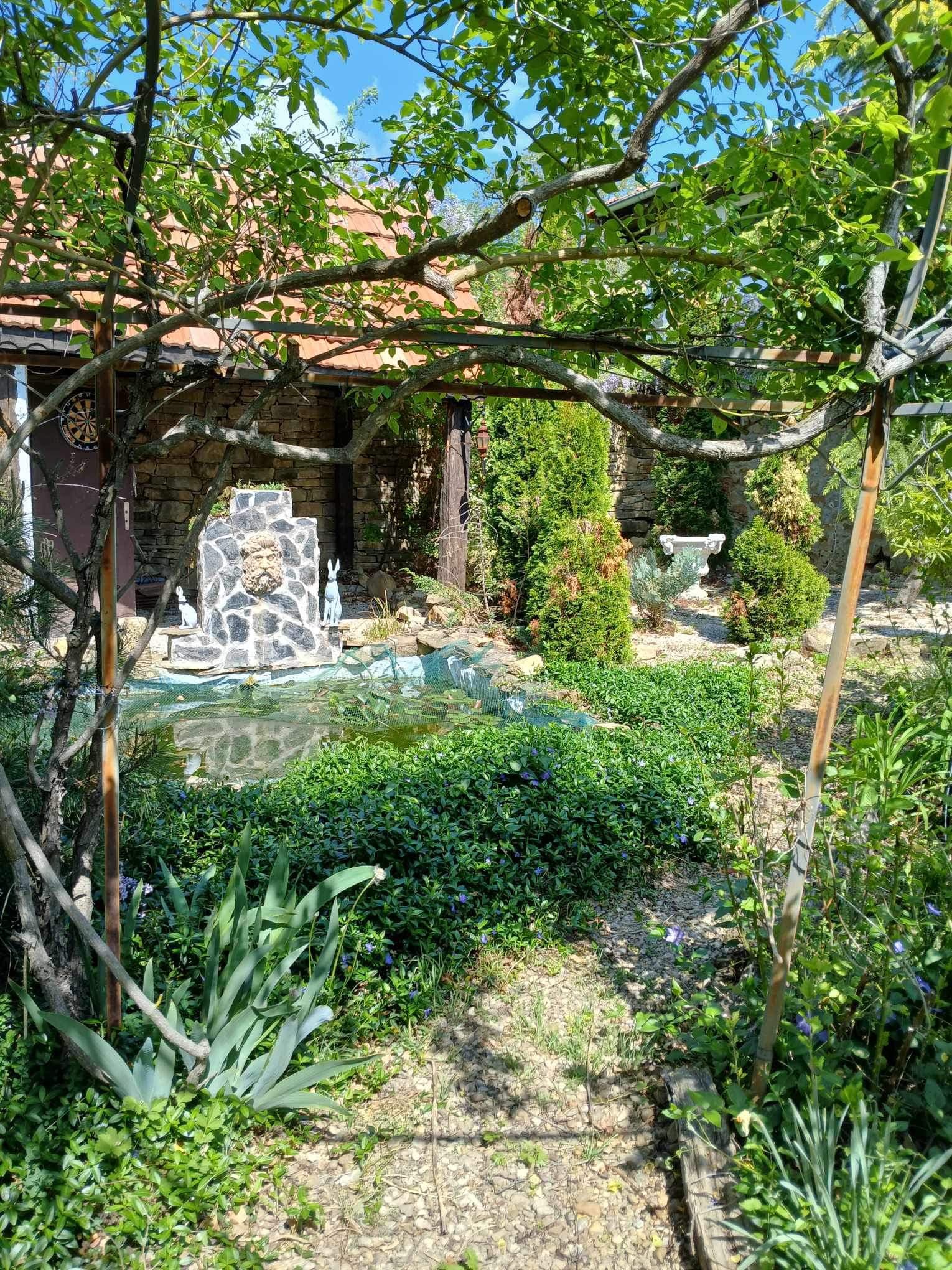 Peacock House – Bukovets V.T - thumbnail 15