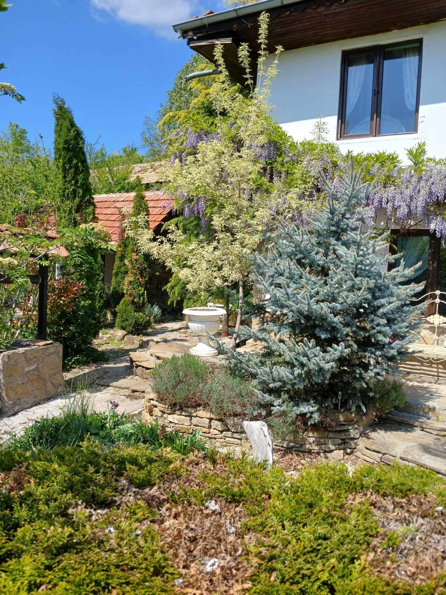 Peacock House – Bukovets V.T - thumbnail 16