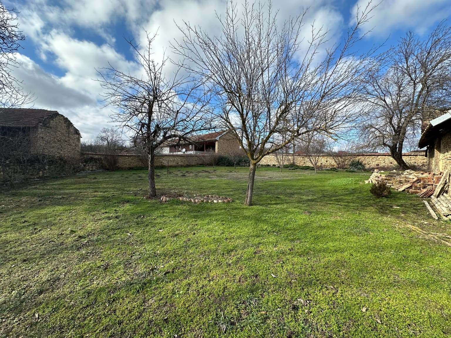 Gingerbread House - Gradina - thumbnail 11