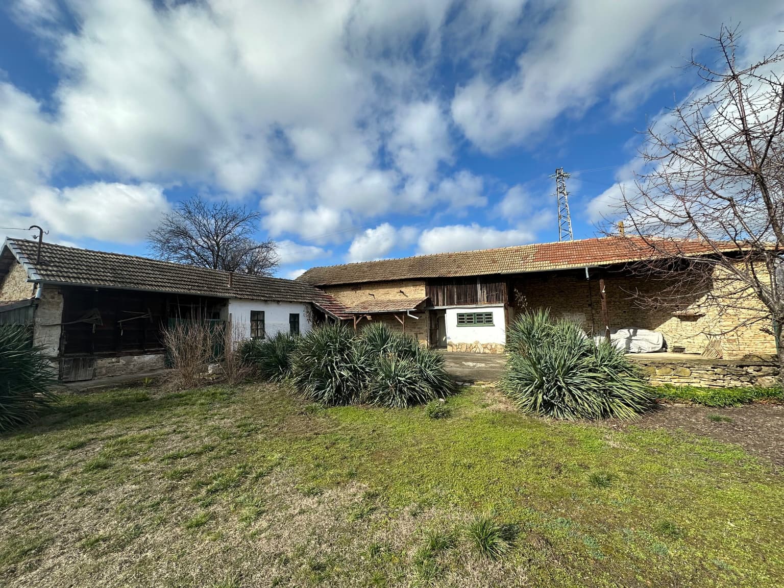 Gingerbread House - Gradina - thumbnail 9