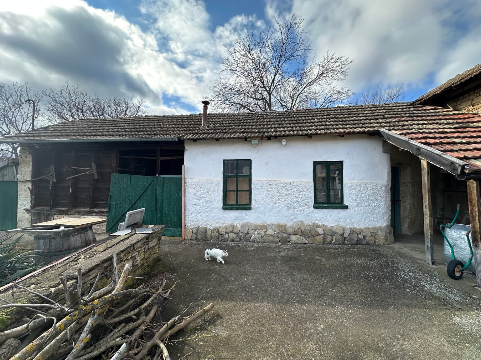 Gingerbread House - Gradina - thumbnail 7