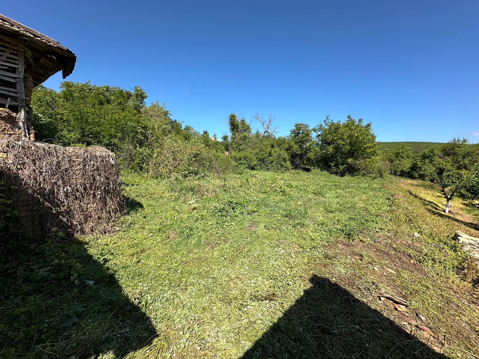 Gourd House - Voditsa - thumbnail 2