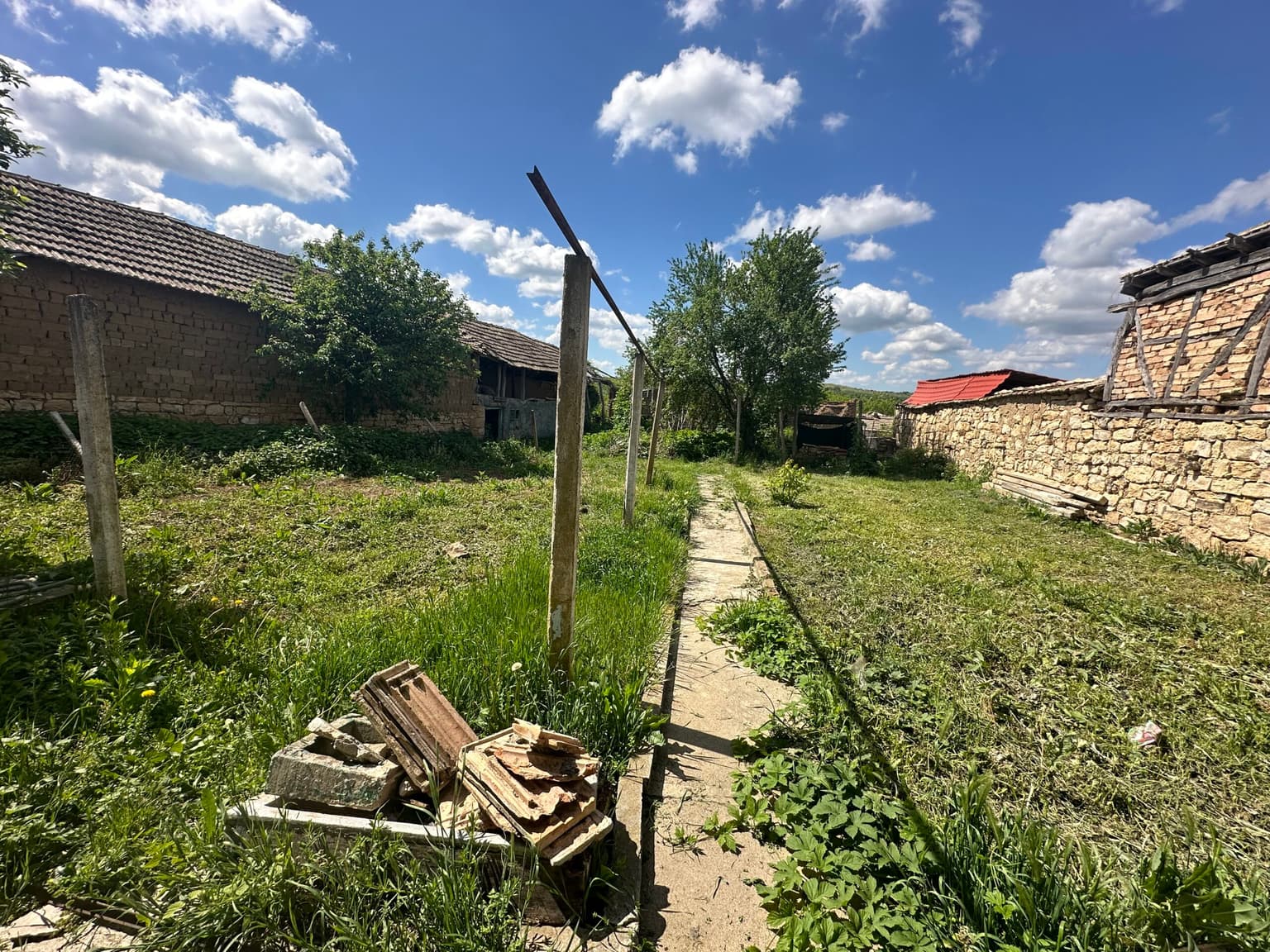 Pear House - Tsar Asen - thumbnail 13