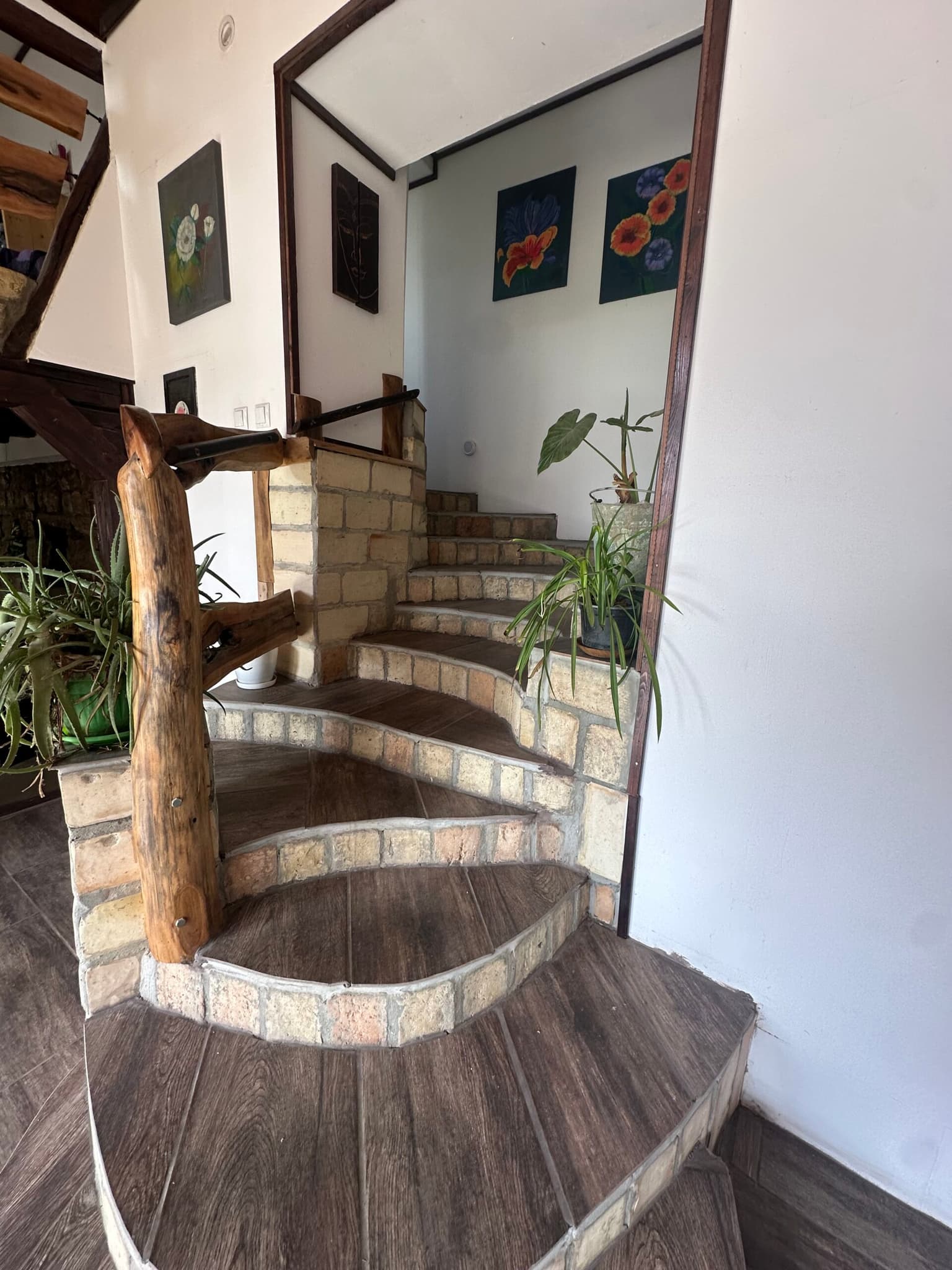 Springbok House - Palamartsa - thumbnail 17