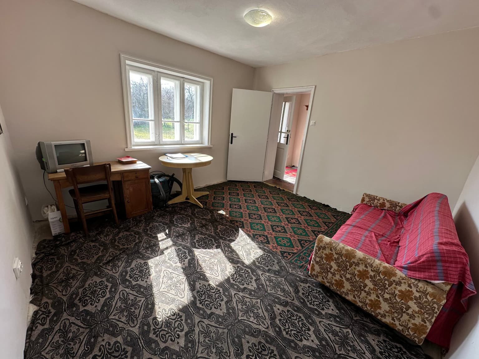 Bluebird House - Pavel - thumbnail 12