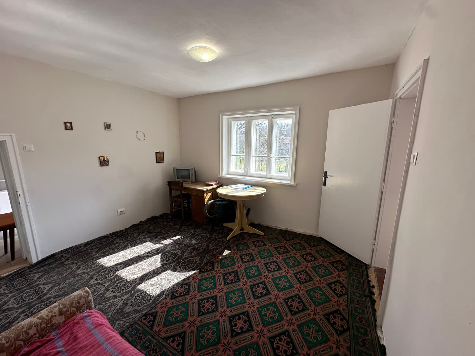 Bluebird House - Pavel - thumbnail 7