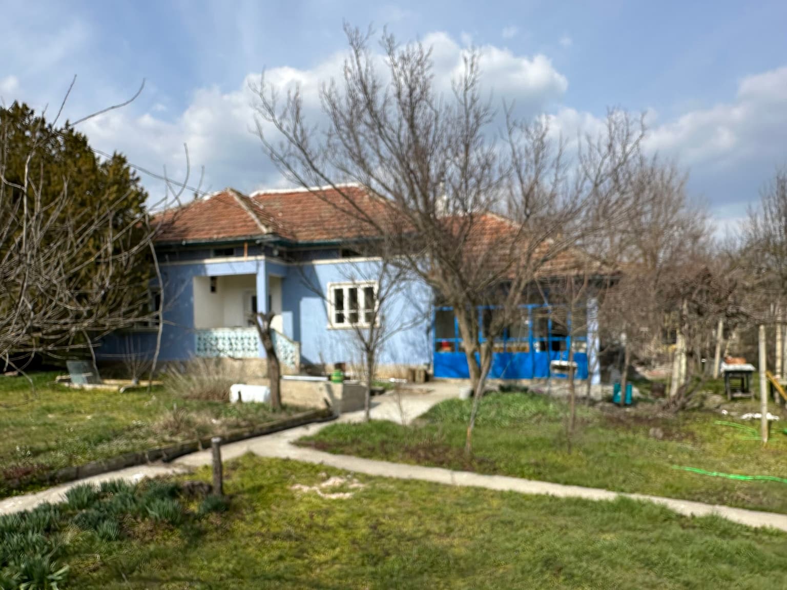 Bluebird House - Pavel - thumbnail 18