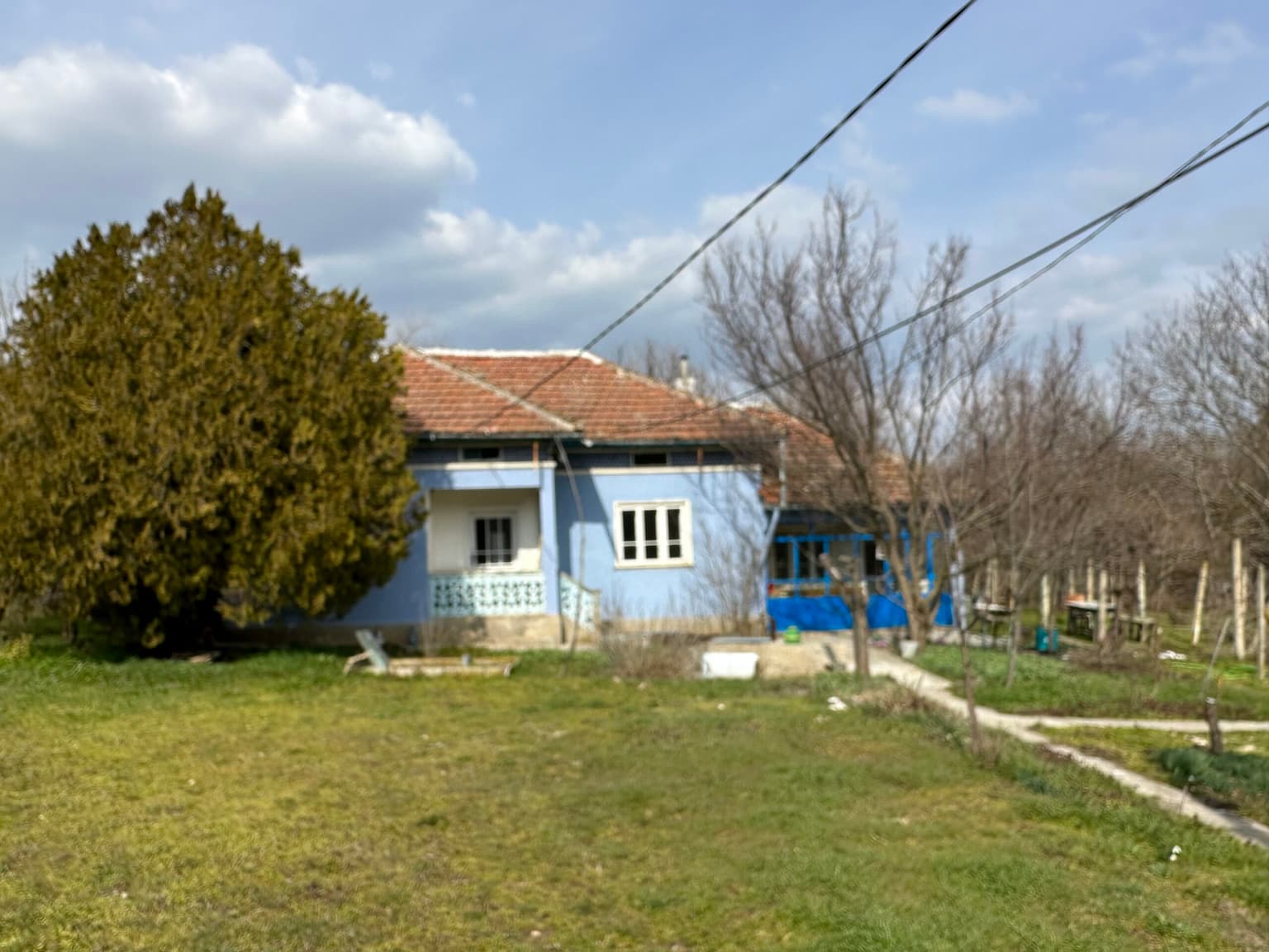 Bluebird House - Pavel - thumbnail 19