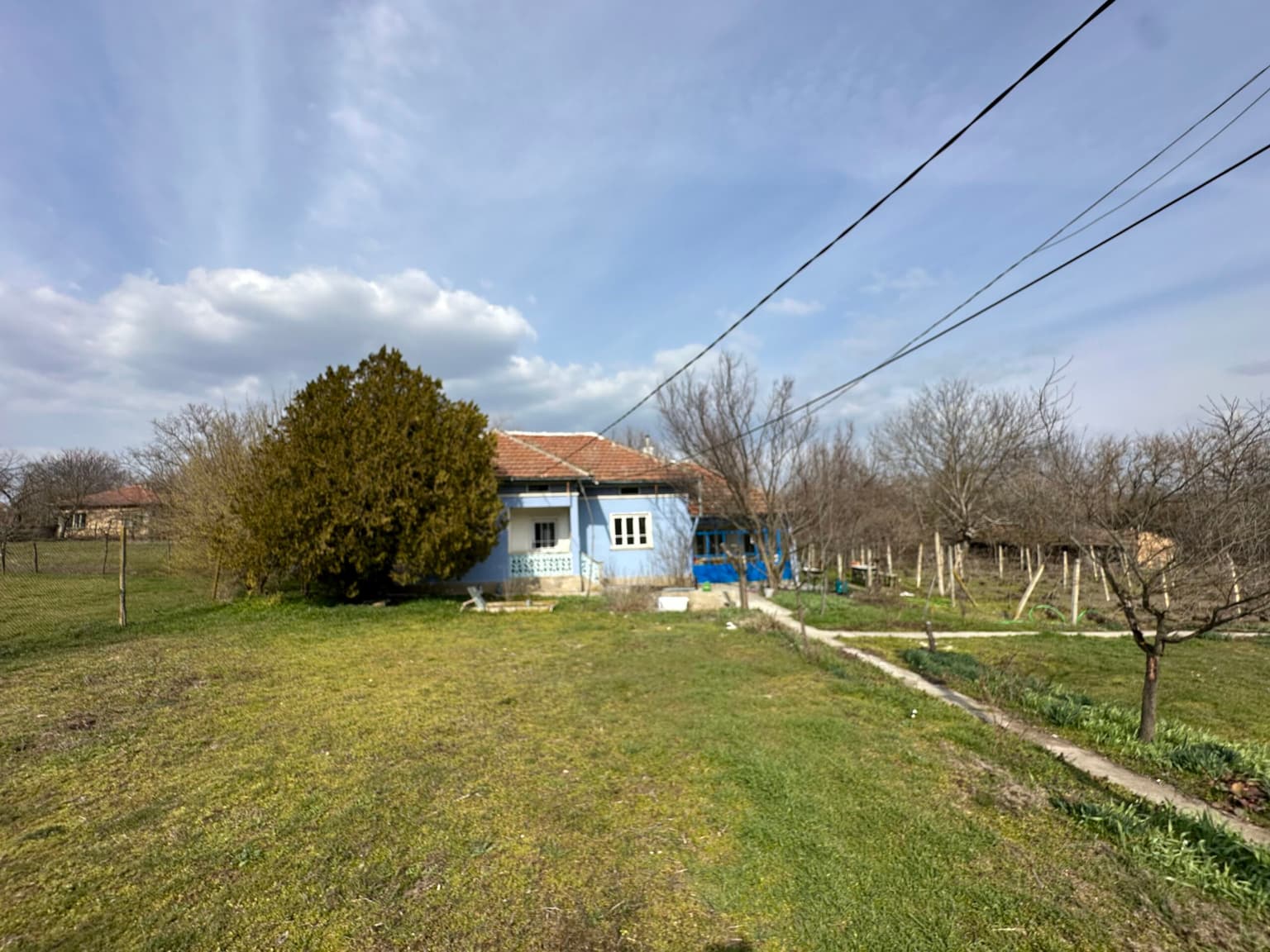 Bluebird House - Pavel - thumbnail 37