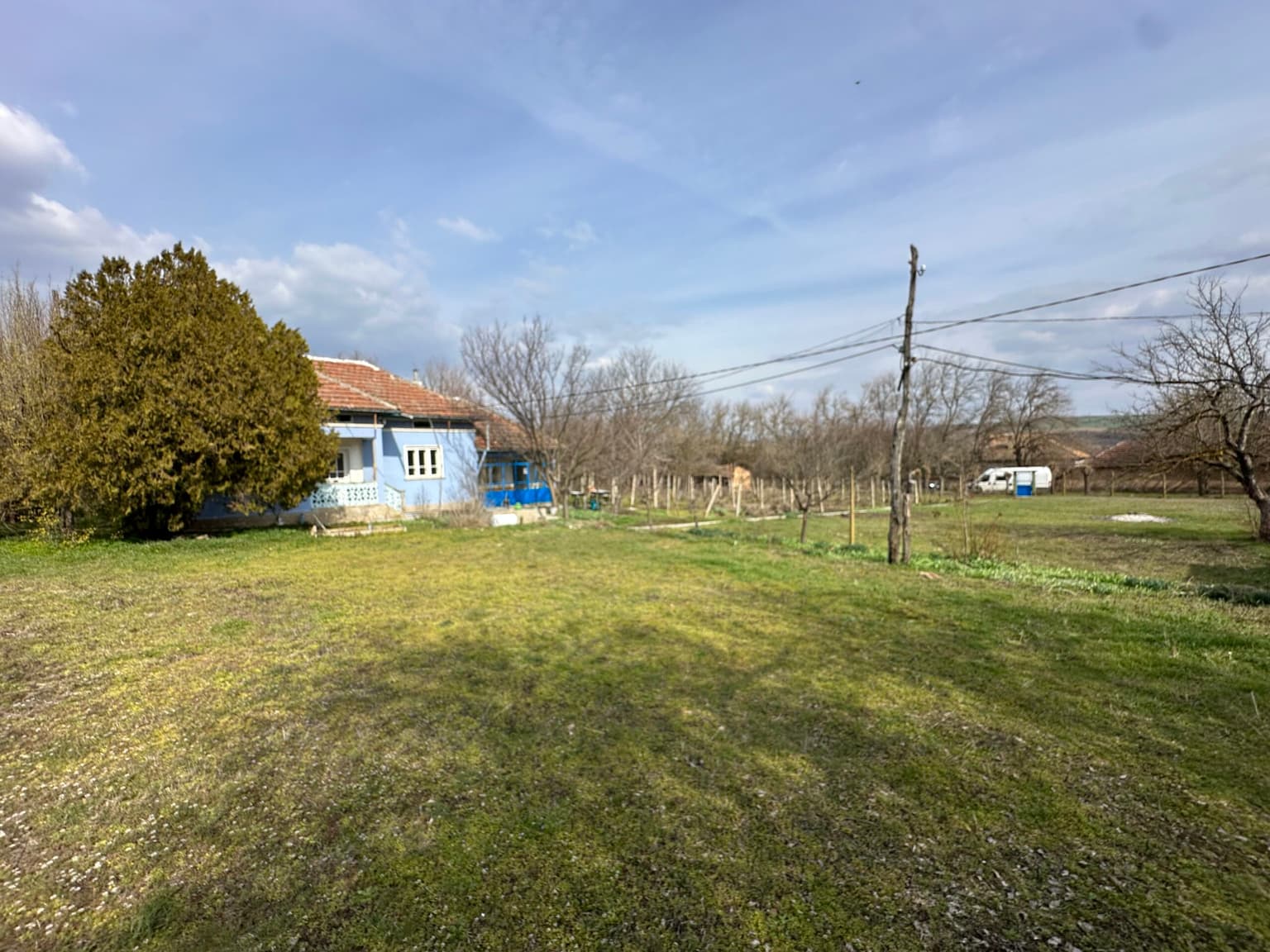 Bluebird House - Pavel - thumbnail 21