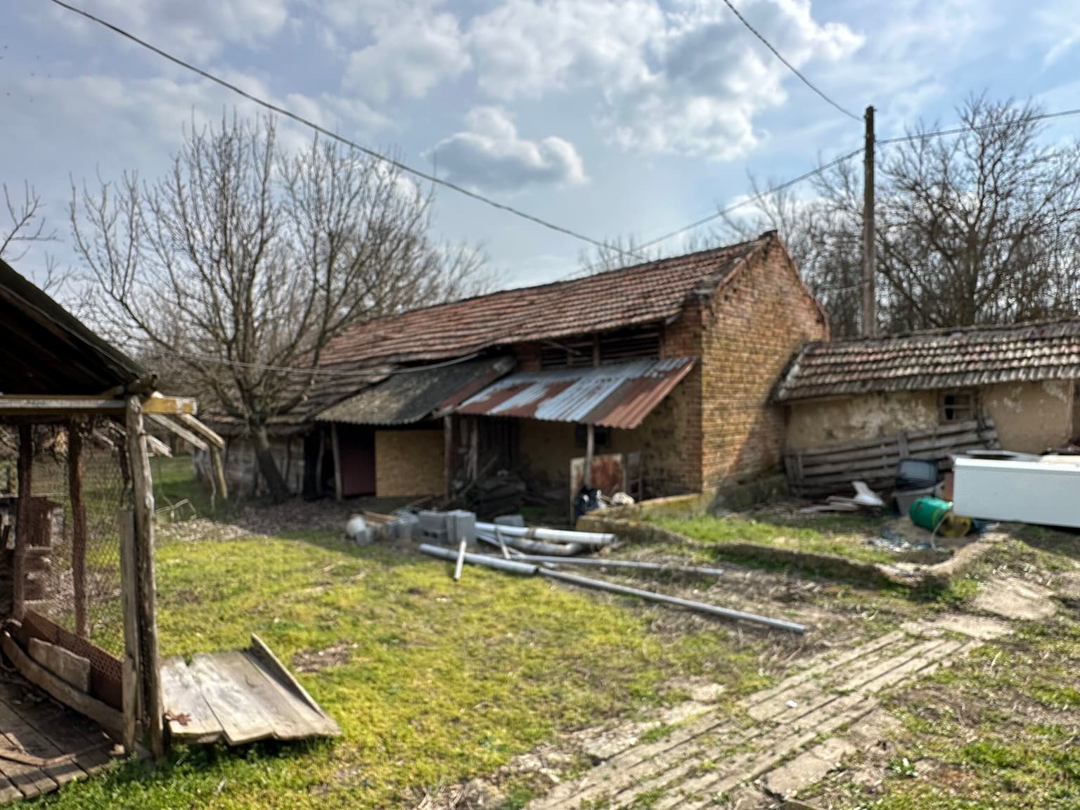 Bluebird House - Pavel - thumbnail 36