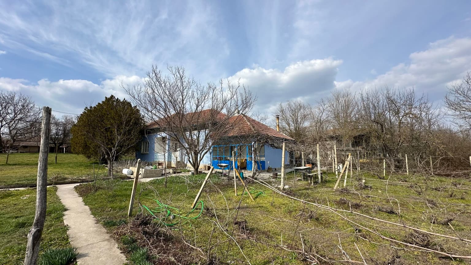 Bluebird House - Pavel - thumbnail 38