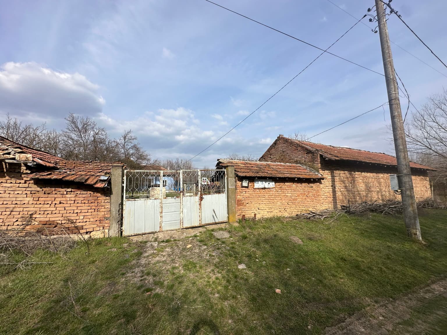 Bluebird House - Pavel - thumbnail 39