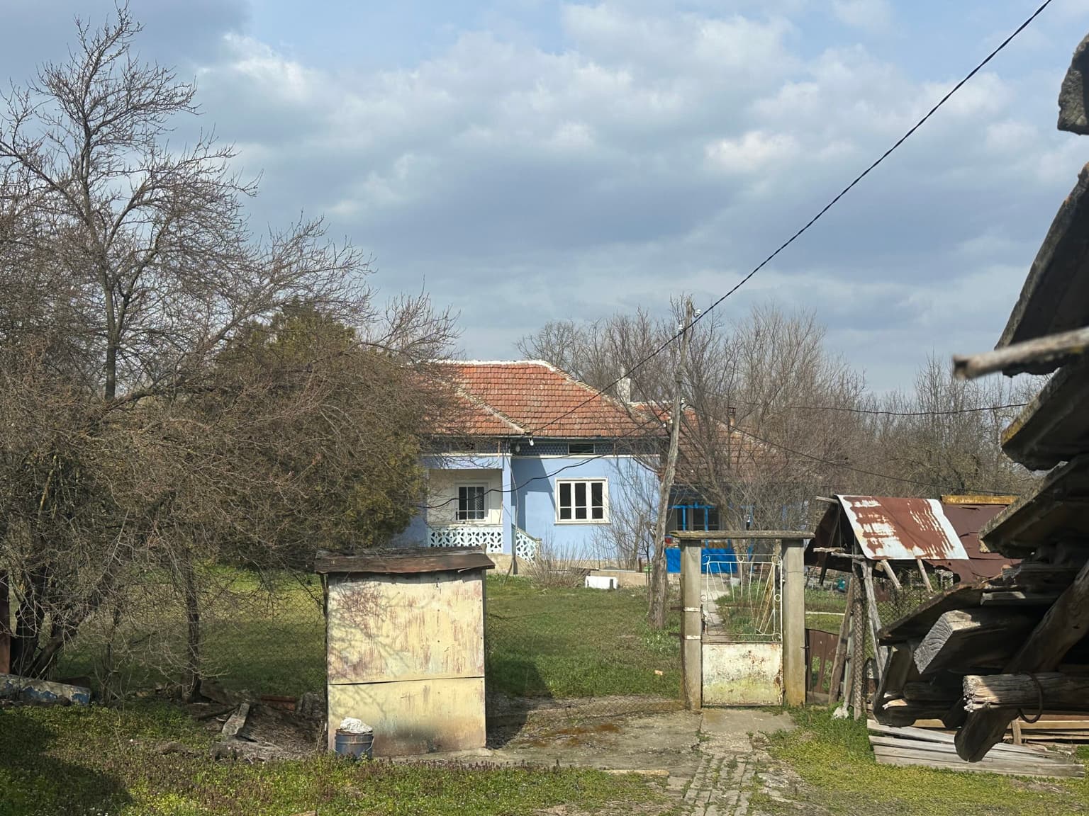 Bluebird House - Pavel - thumbnail 22