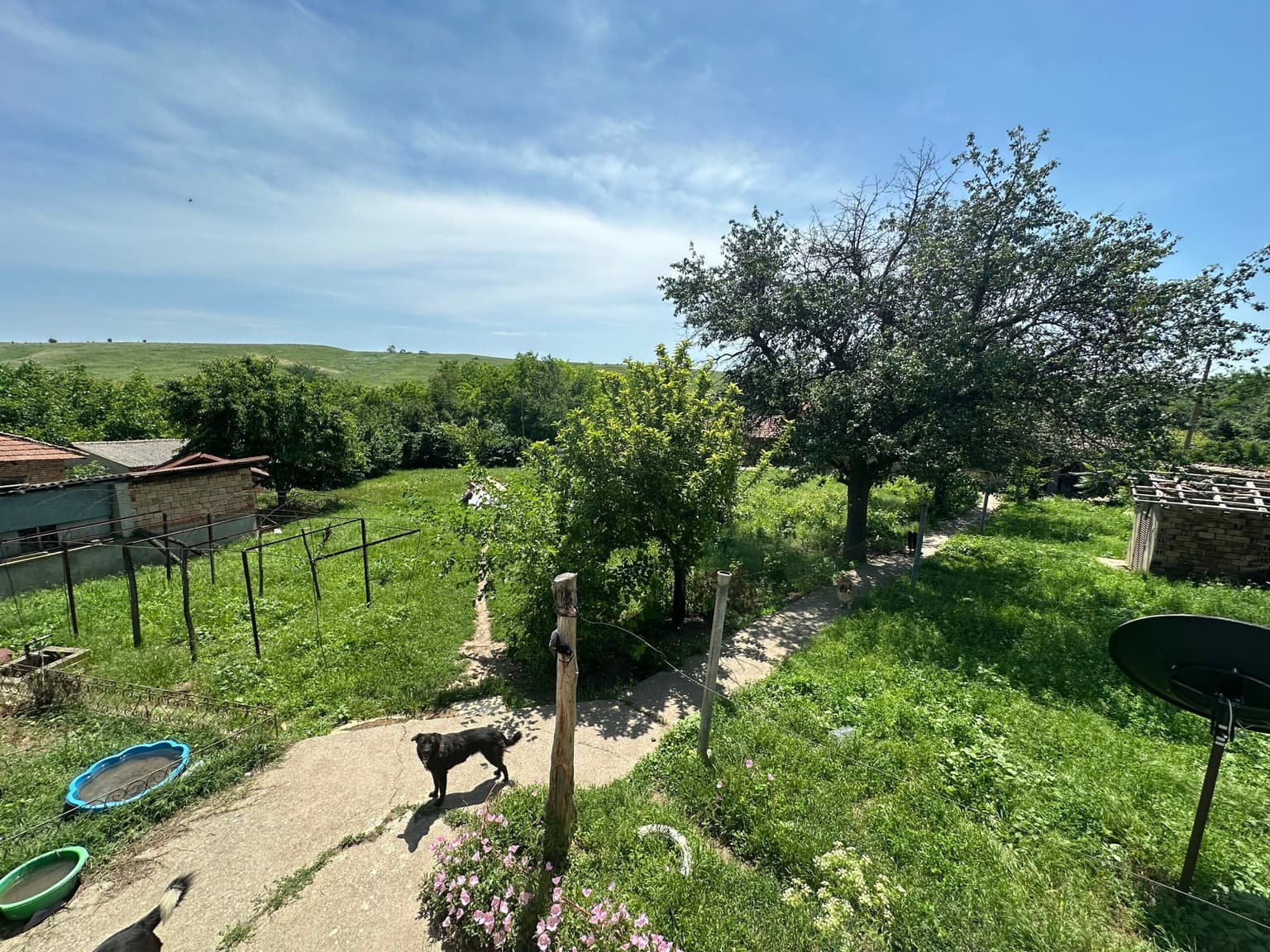 Hill House - Maslarevo - thumbnail 89