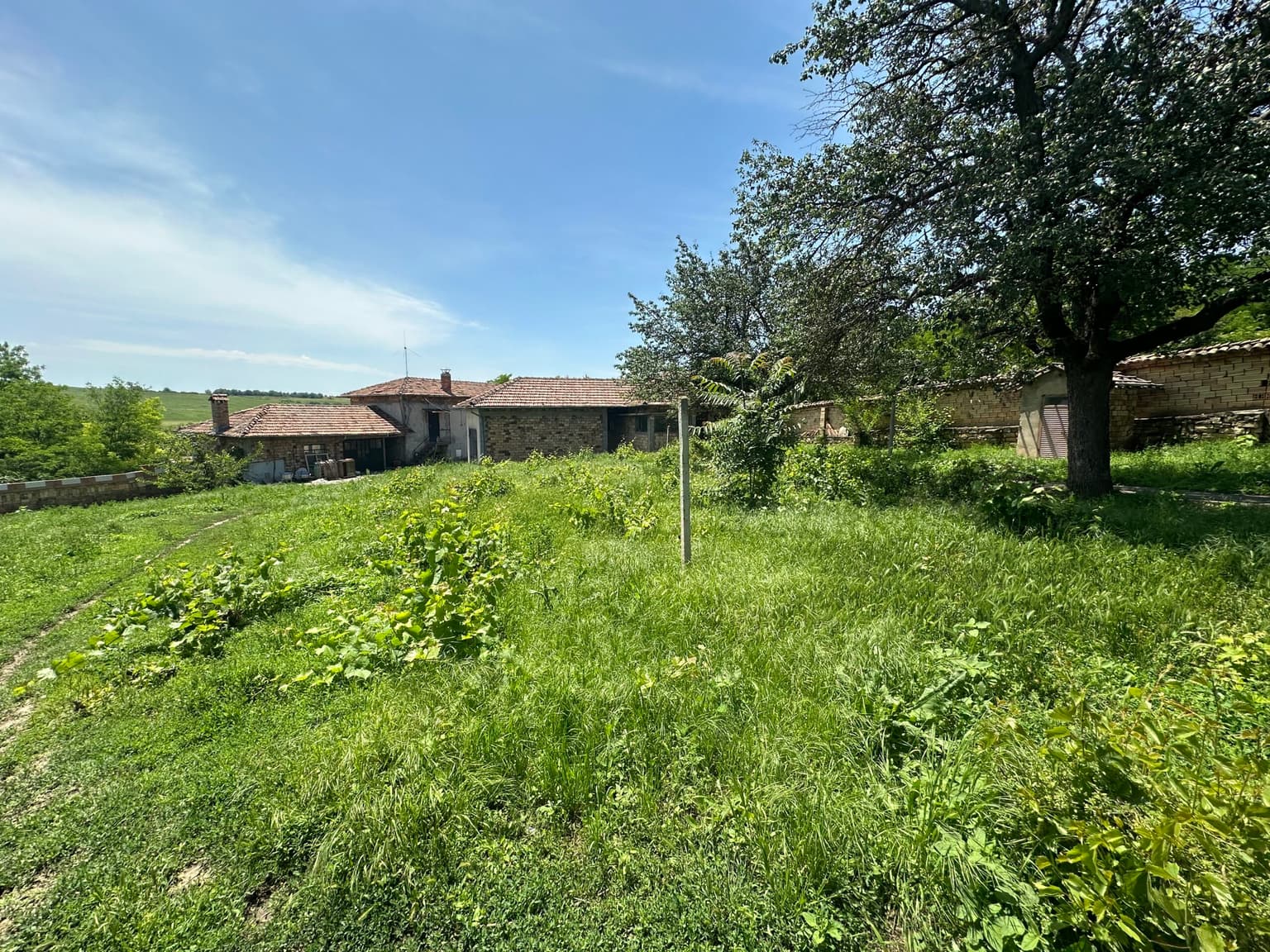 Hill House - Maslarevo - thumbnail 84