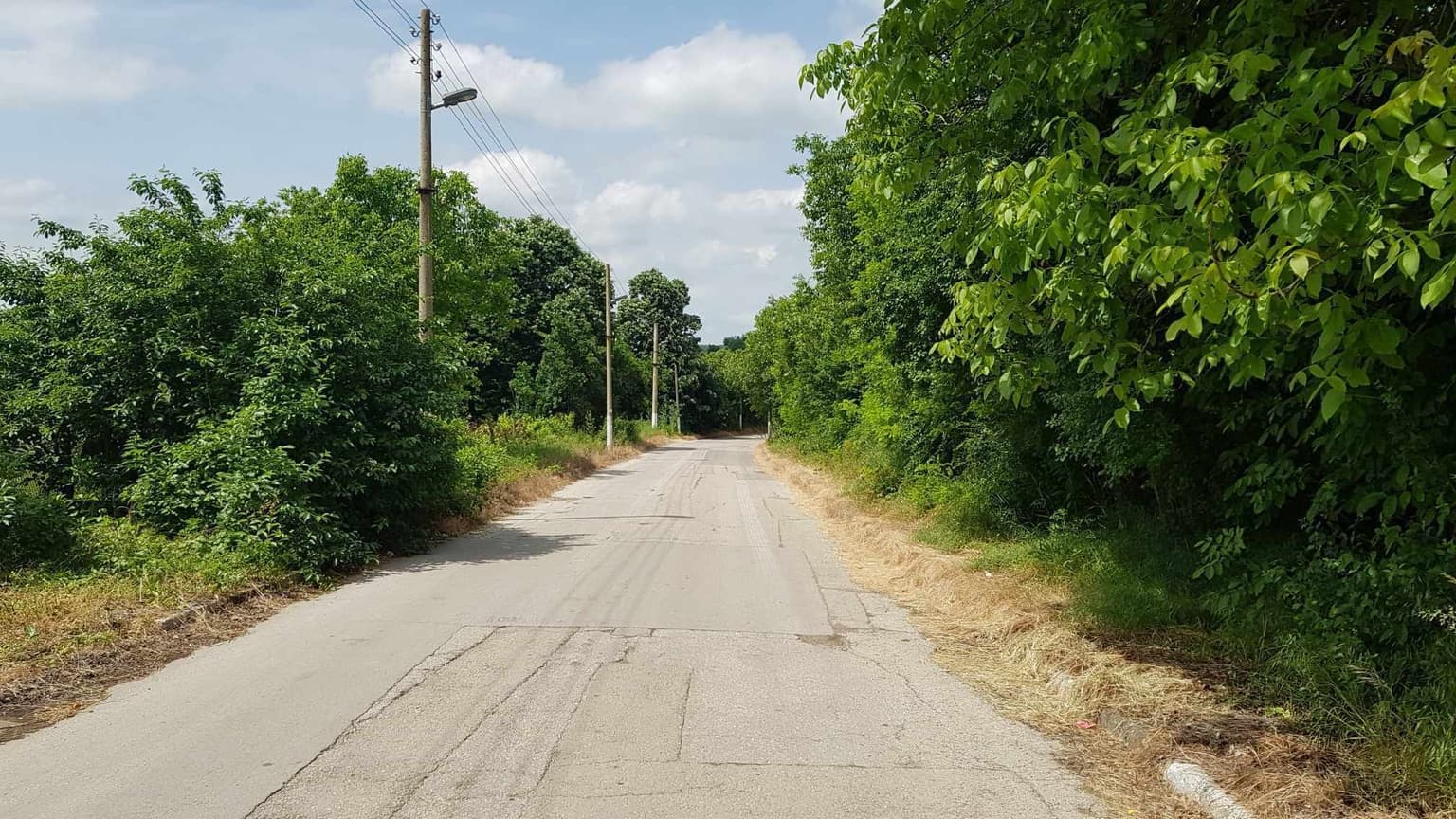 Simplicity Meadows - Omacharevo - thumbnail 8