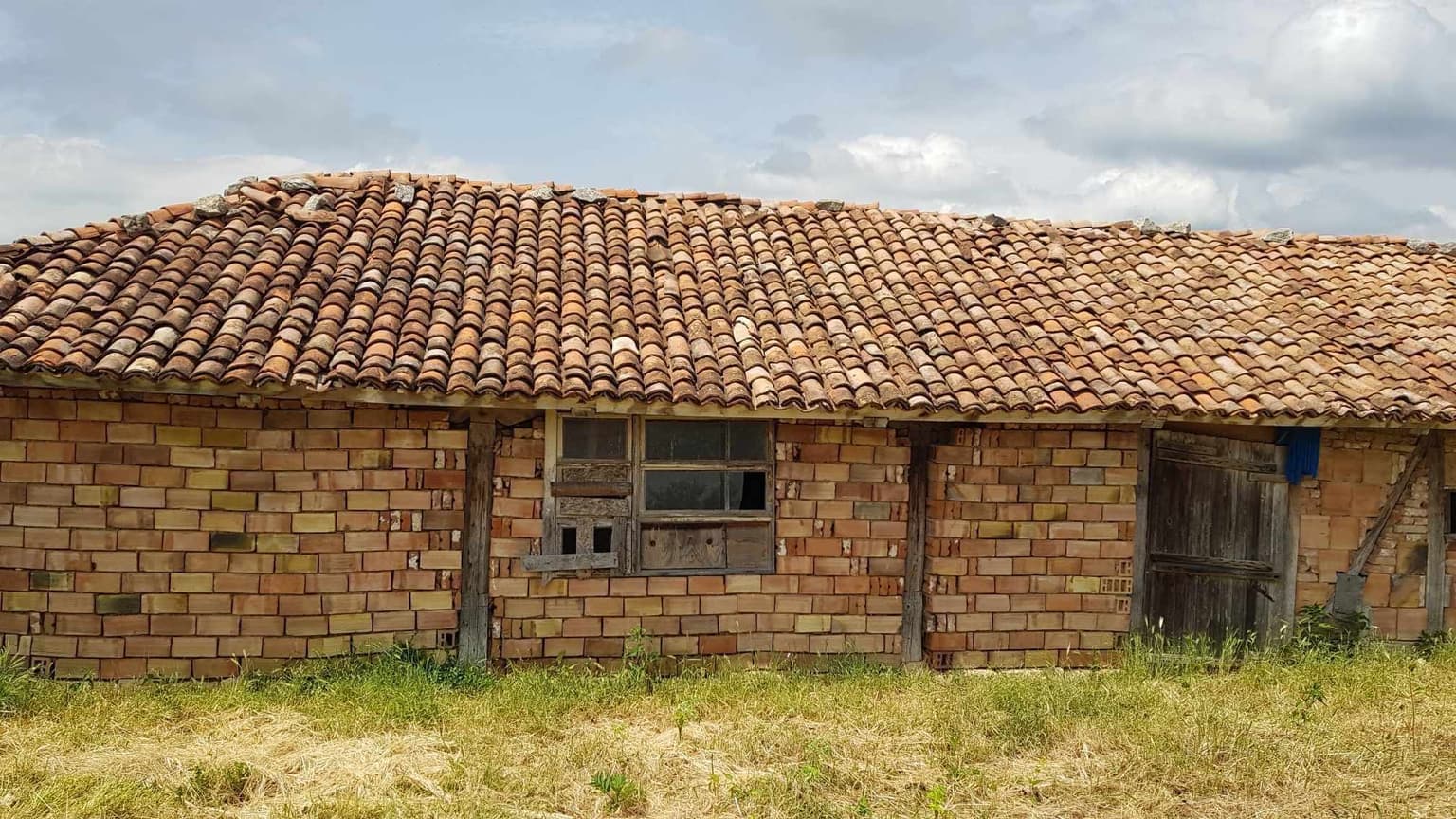 Simplicity Meadows - Omacharevo - thumbnail 2