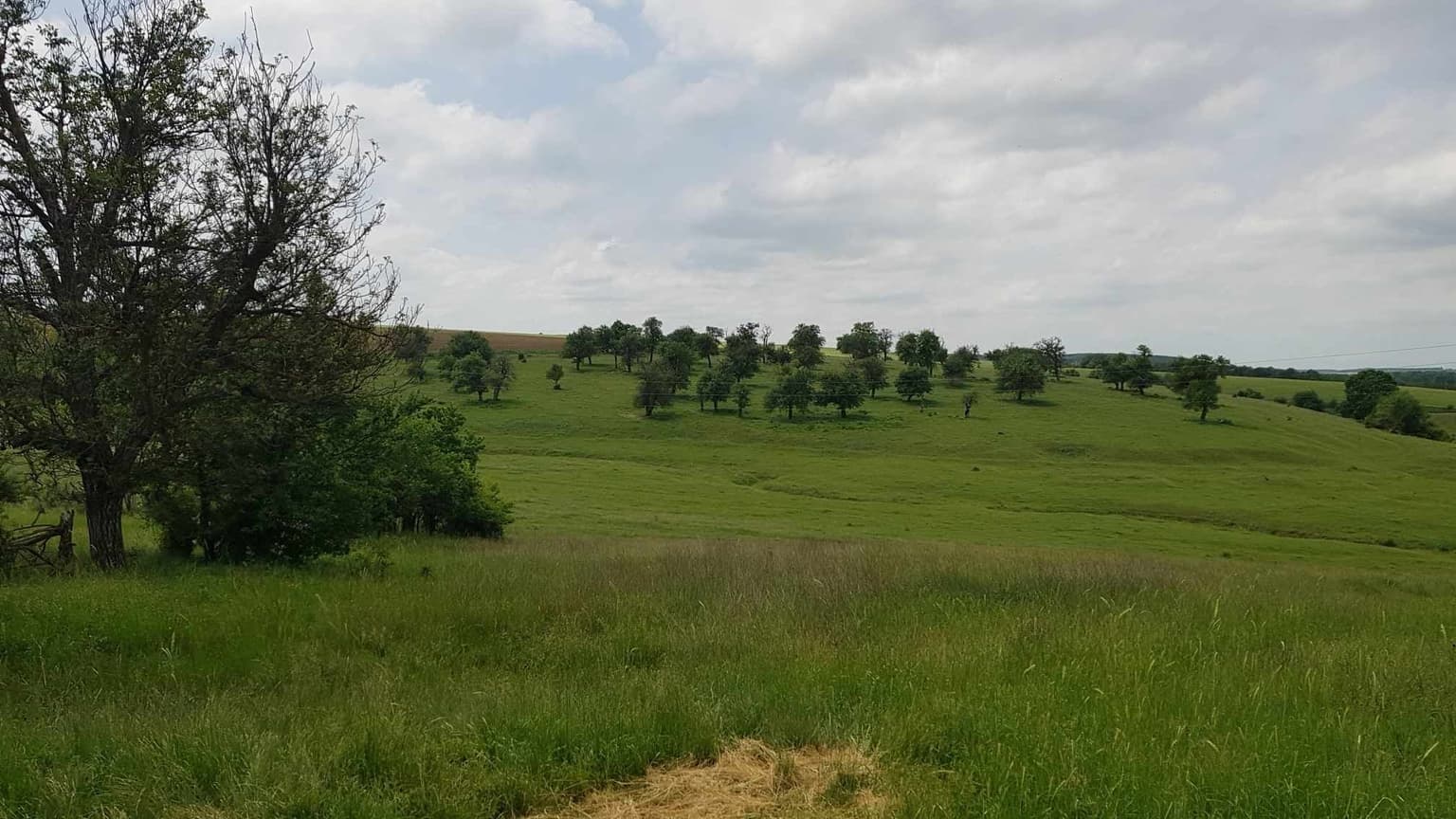 Simplicity Meadows - Omacharevo in Omacharevo, 2 bedrooms property