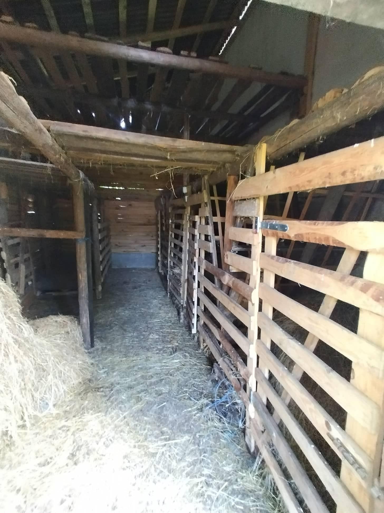 The Resort – Letovnik, Momchilgrad - thumbnail 15