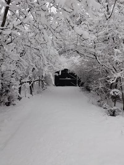 The Resort - Letovnik, Momchilgrad 🌴 - thumbnail 41