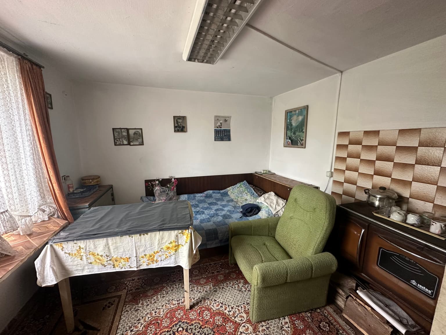 Cushty Kushti - Gagovo - thumbnail 10