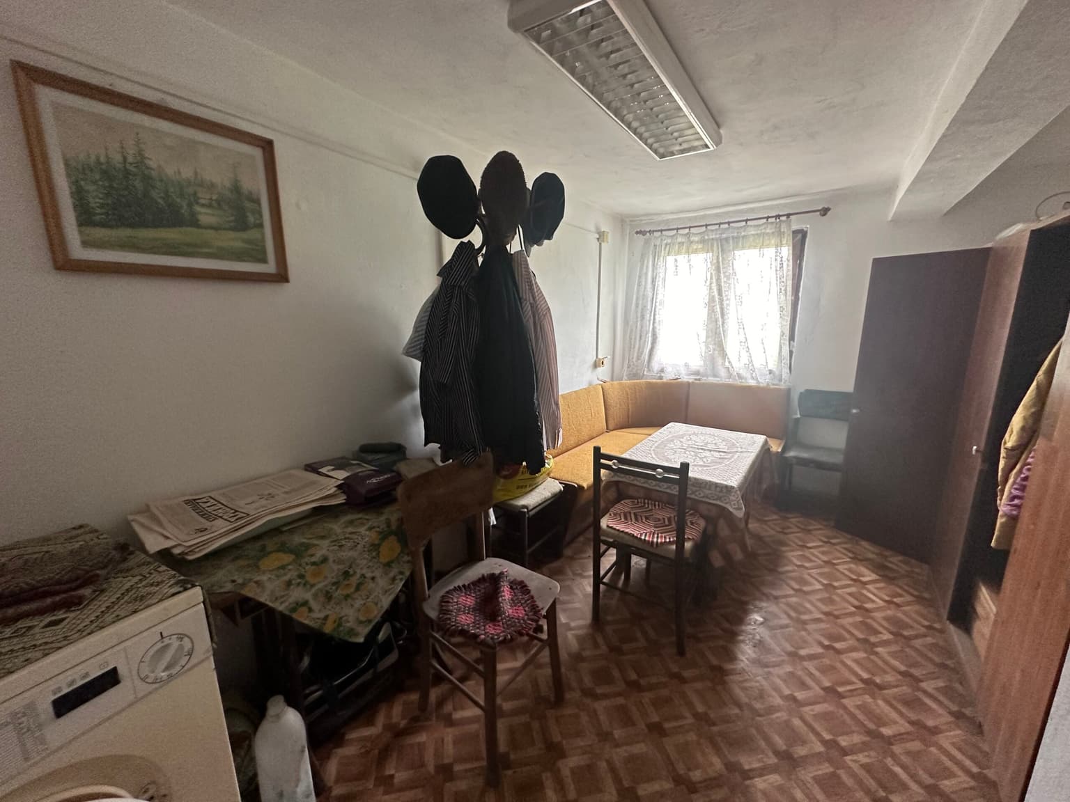 Cushty Kushti - Gagovo - thumbnail 12