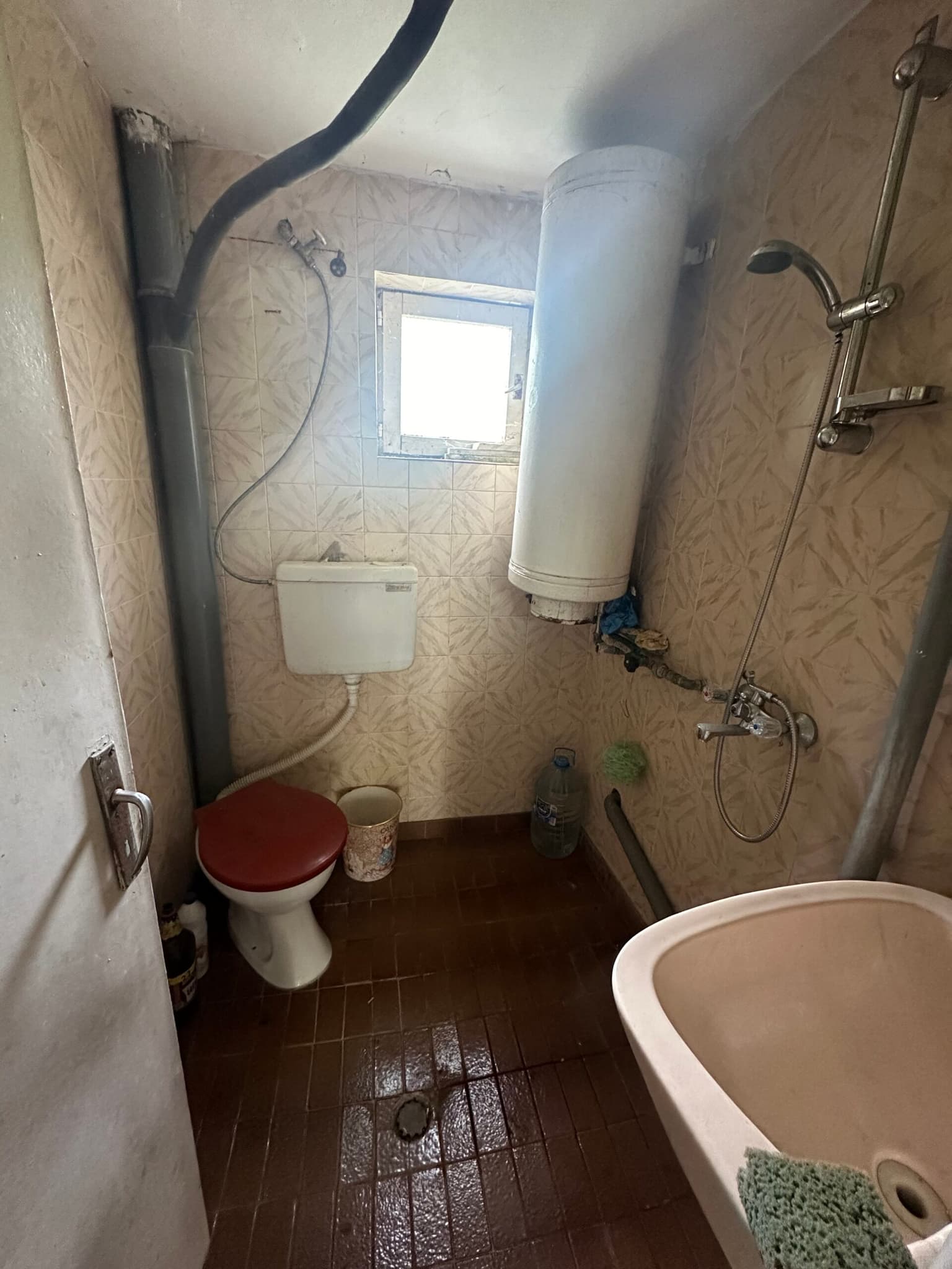 Cushty Kushti - Gagovo - thumbnail 14