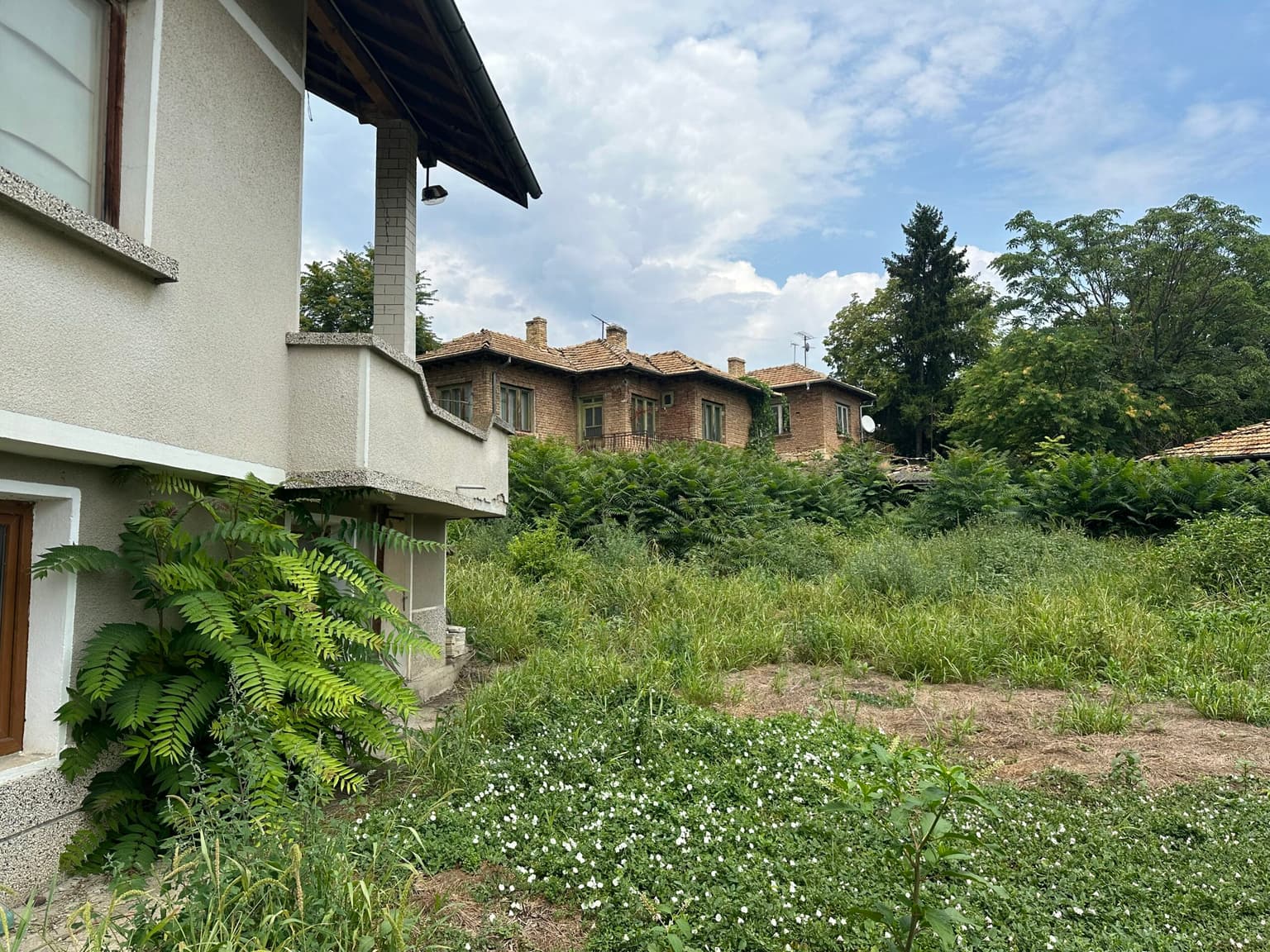 Cushty Kushti - Gagovo - thumbnail 17