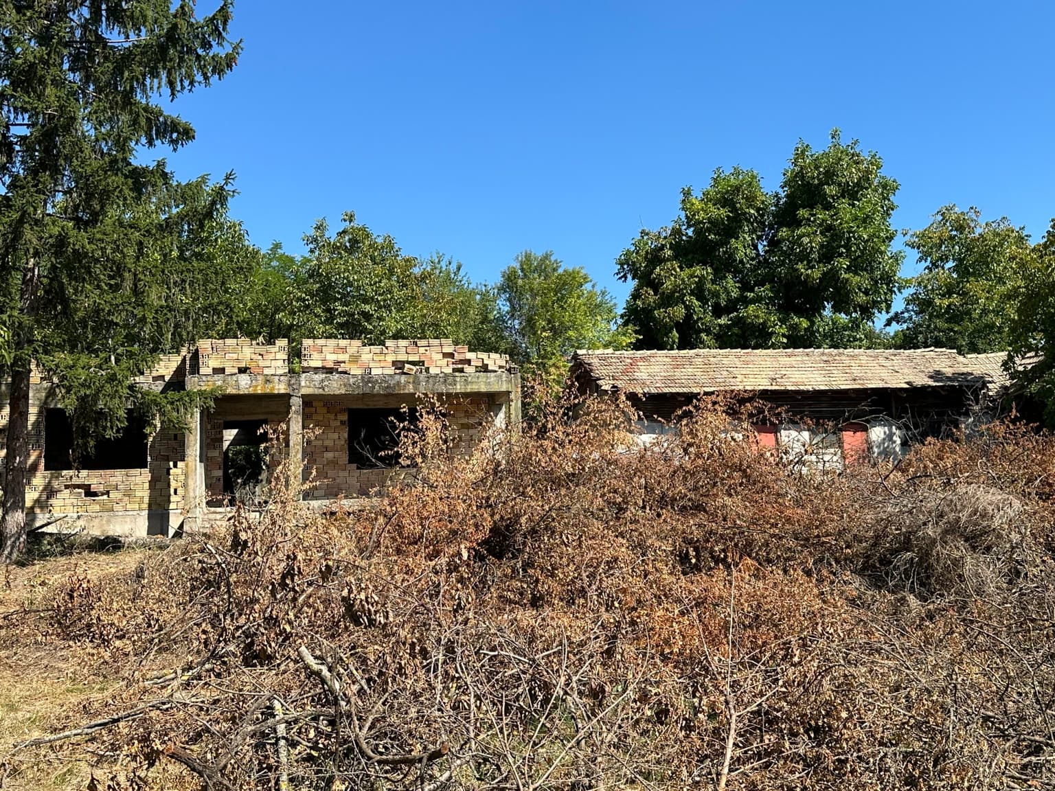 Wonder House - Palamartsa - thumbnail 7