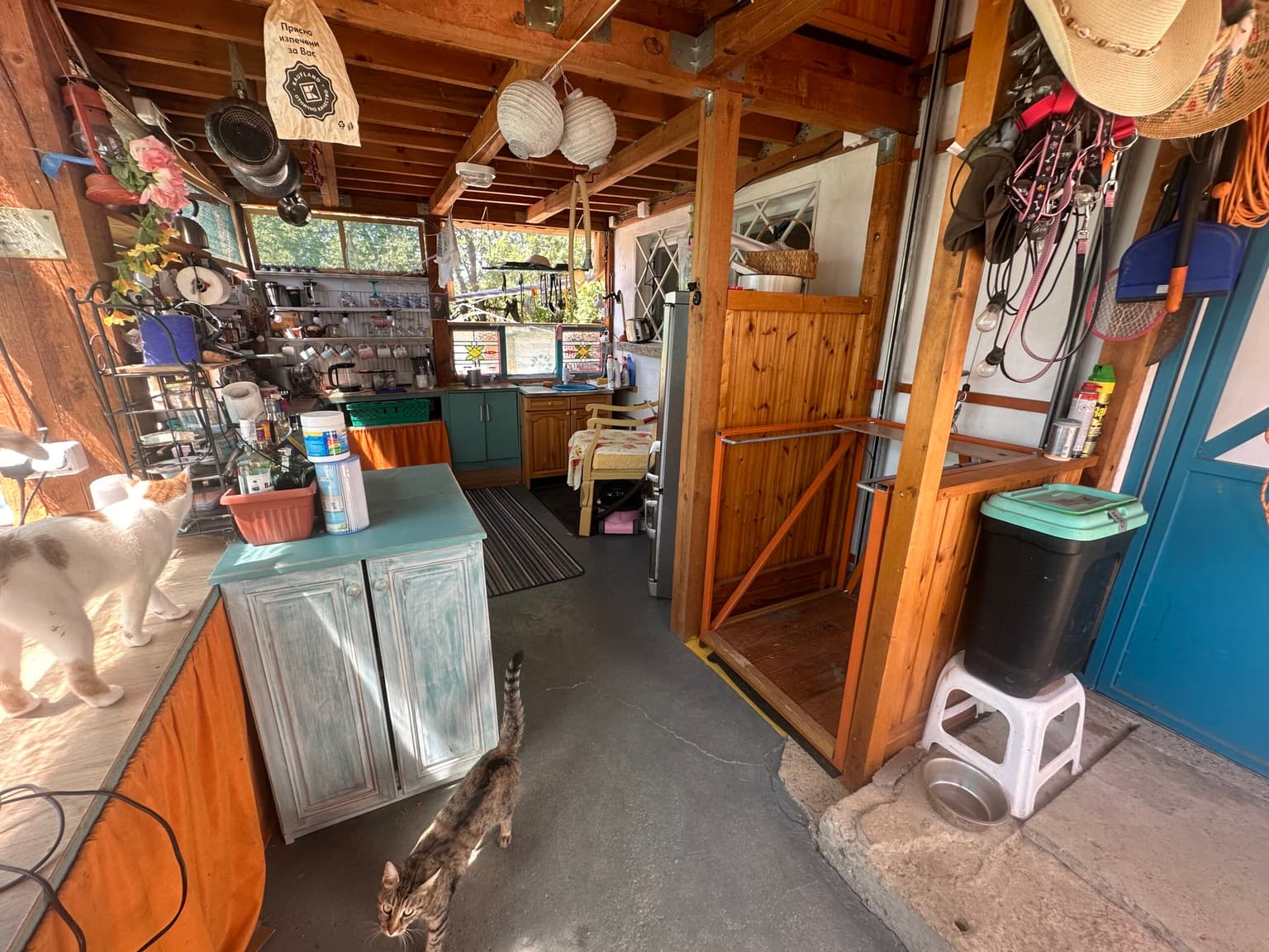 Sprockets Corner - Bryagovitsa - thumbnail 41